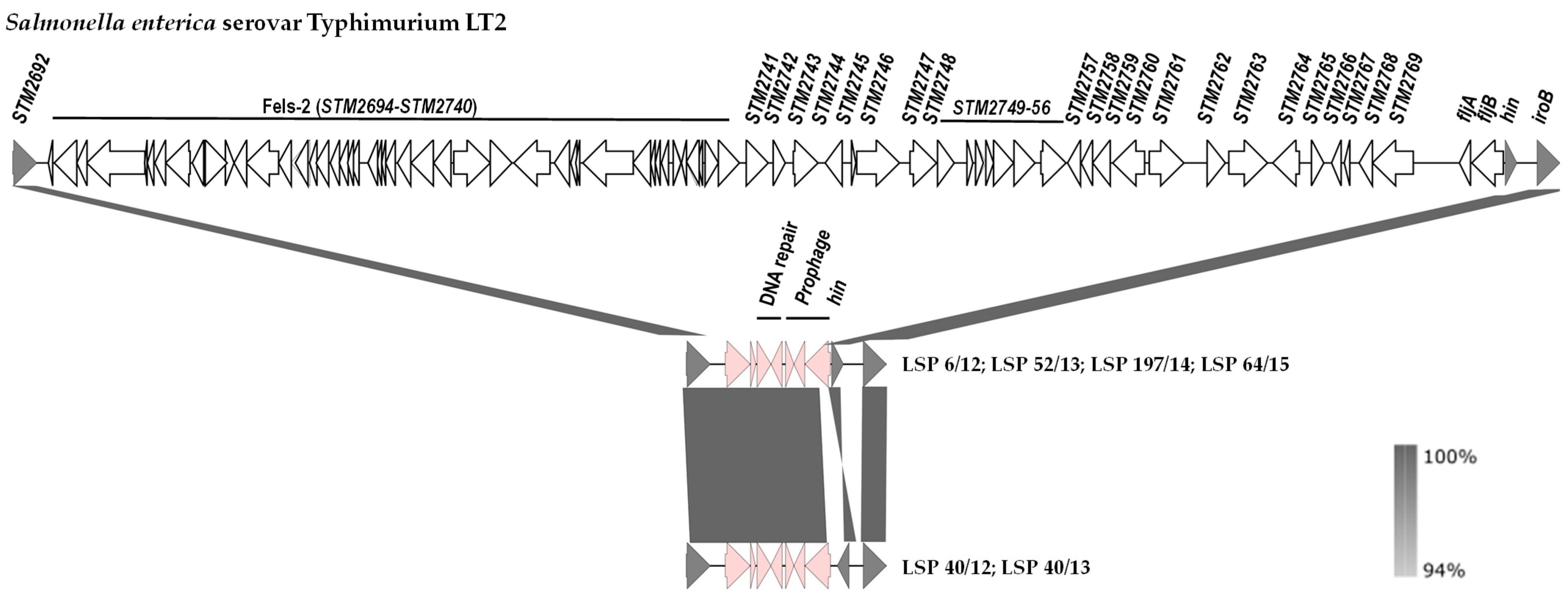 Antibiotics 13 00314 g003 Antibiotics 13 00314 g003