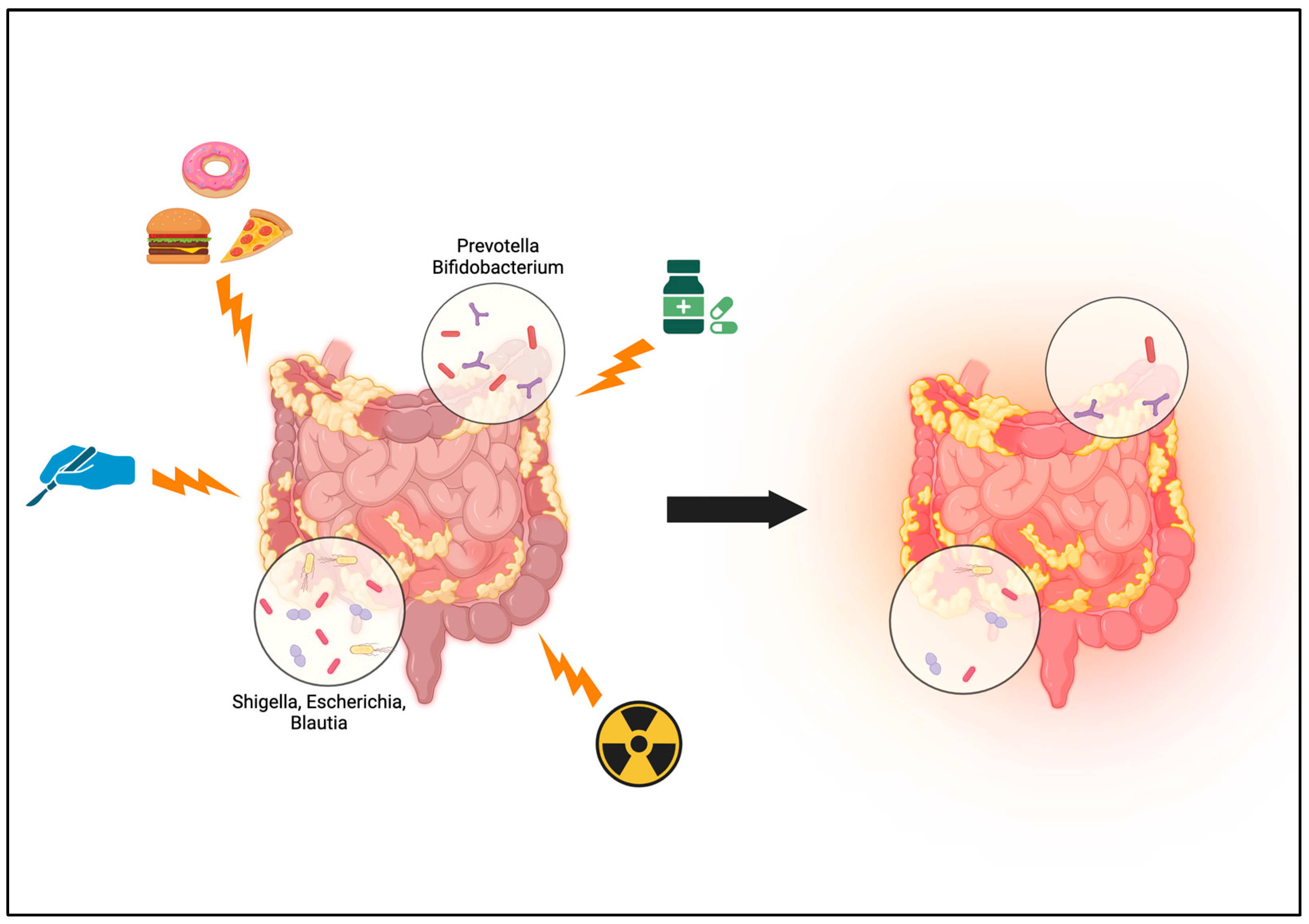 Antibiotics 13 00317 g001