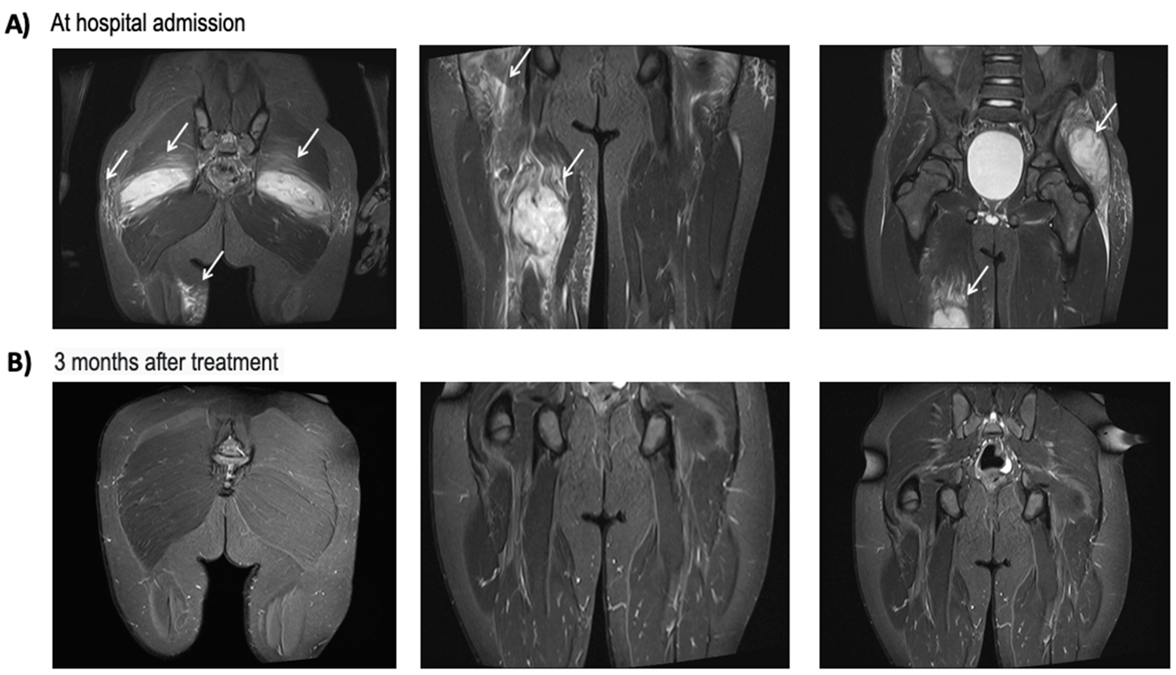 Antibiotics 13 00327 g001