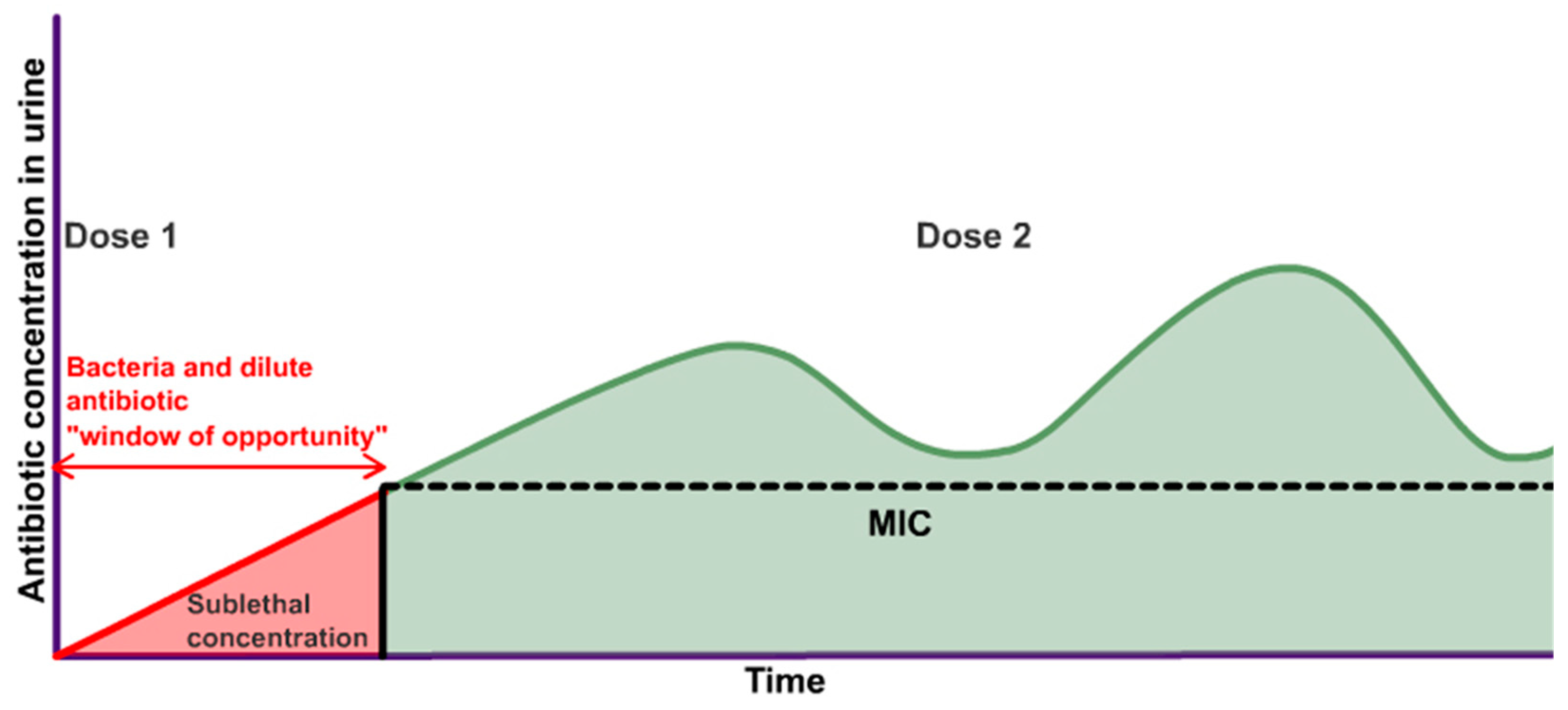 Antibiotics 13 00328 g004