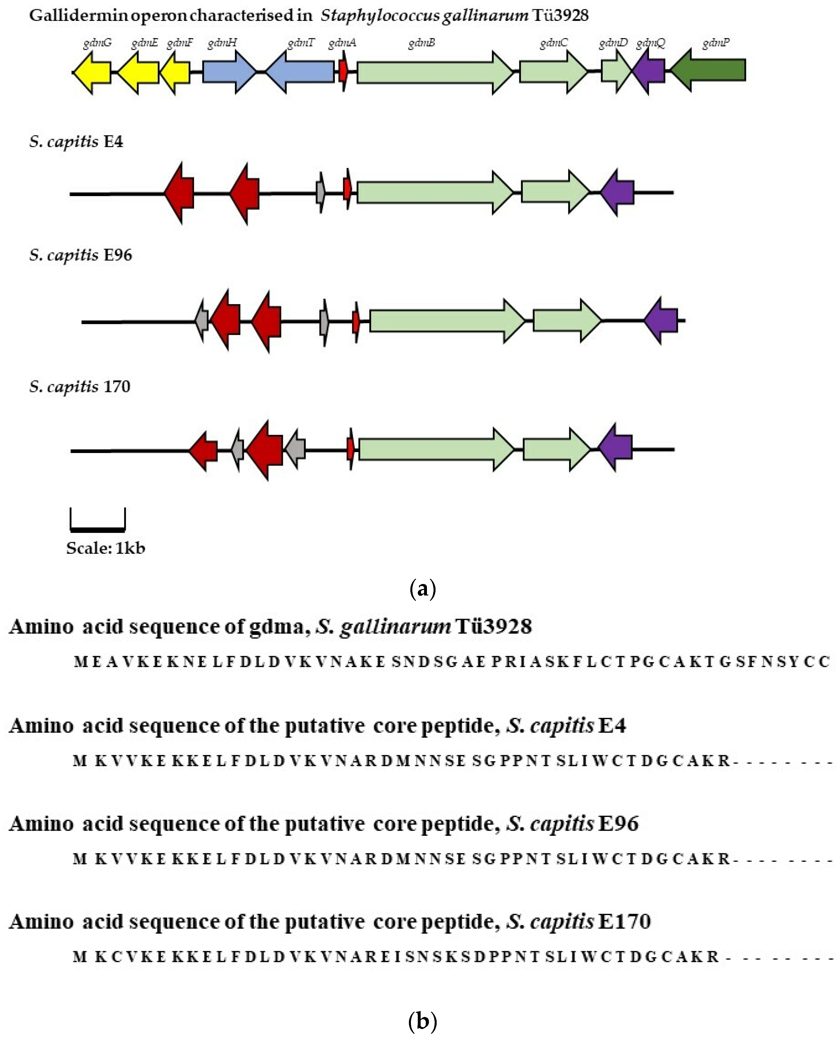 Antibiotics 13 00338 g004