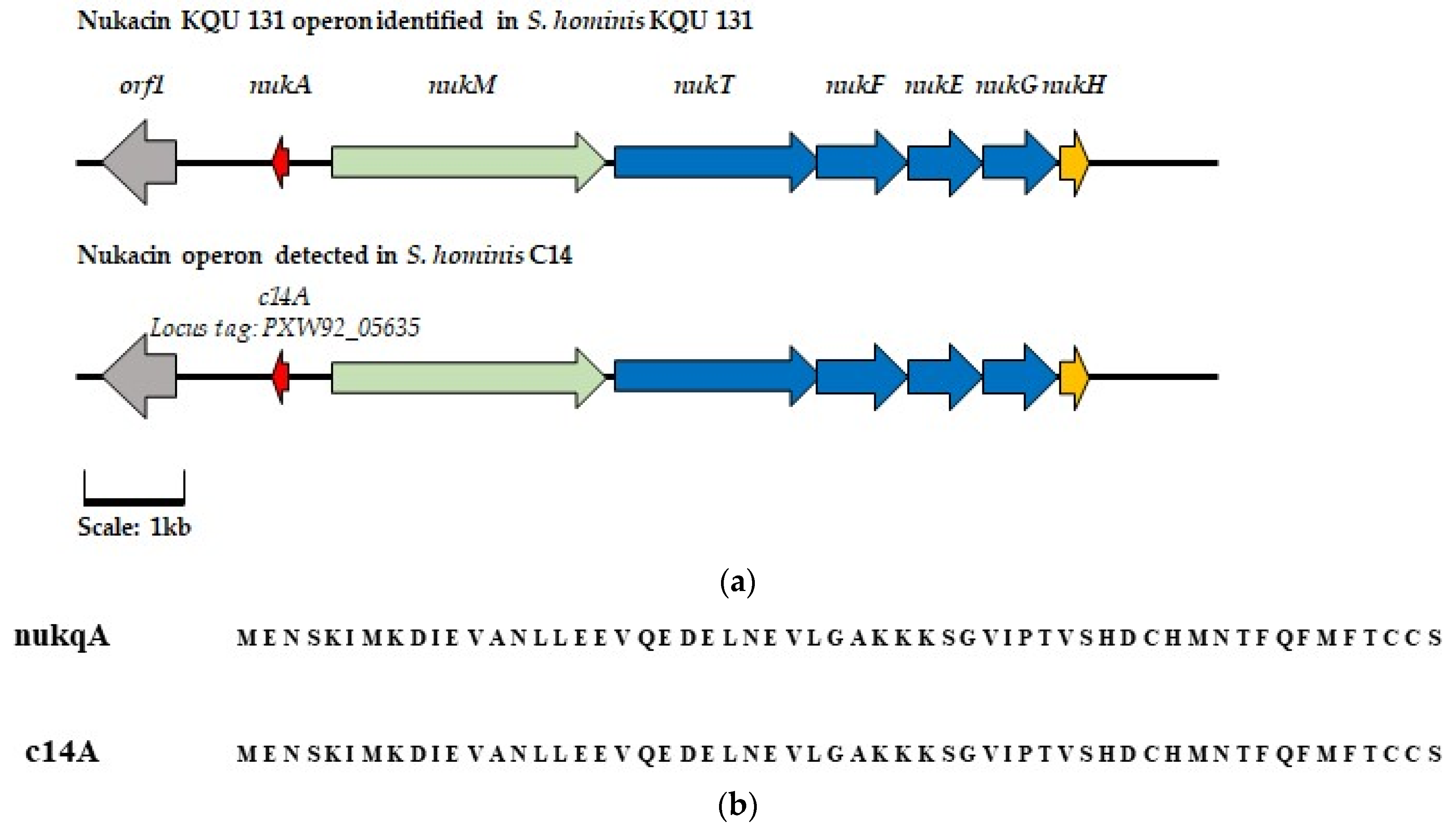 Antibiotics 13 00338 g005