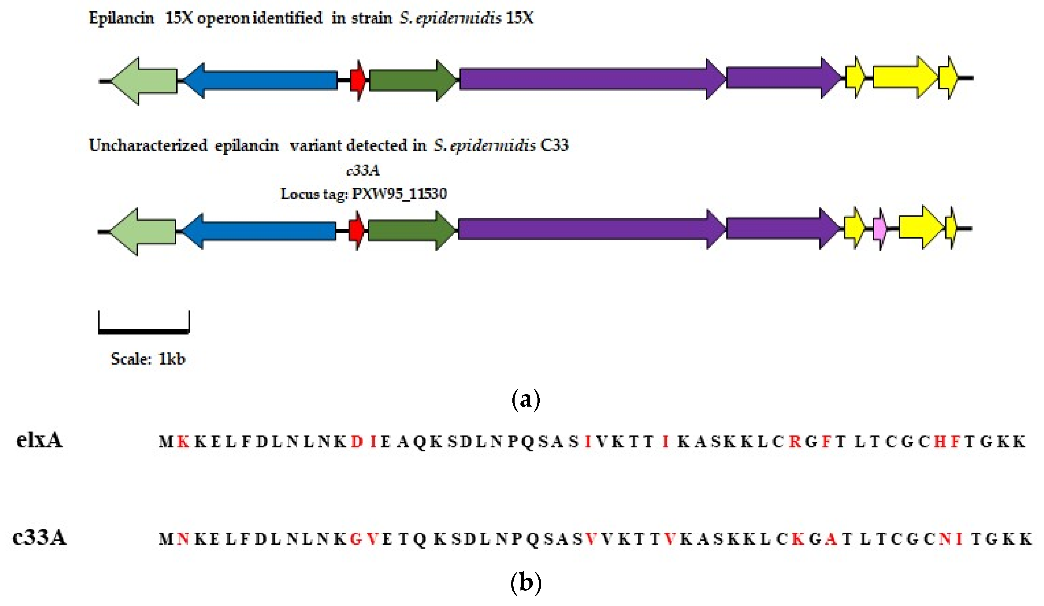 Antibiotics 13 00338 g006