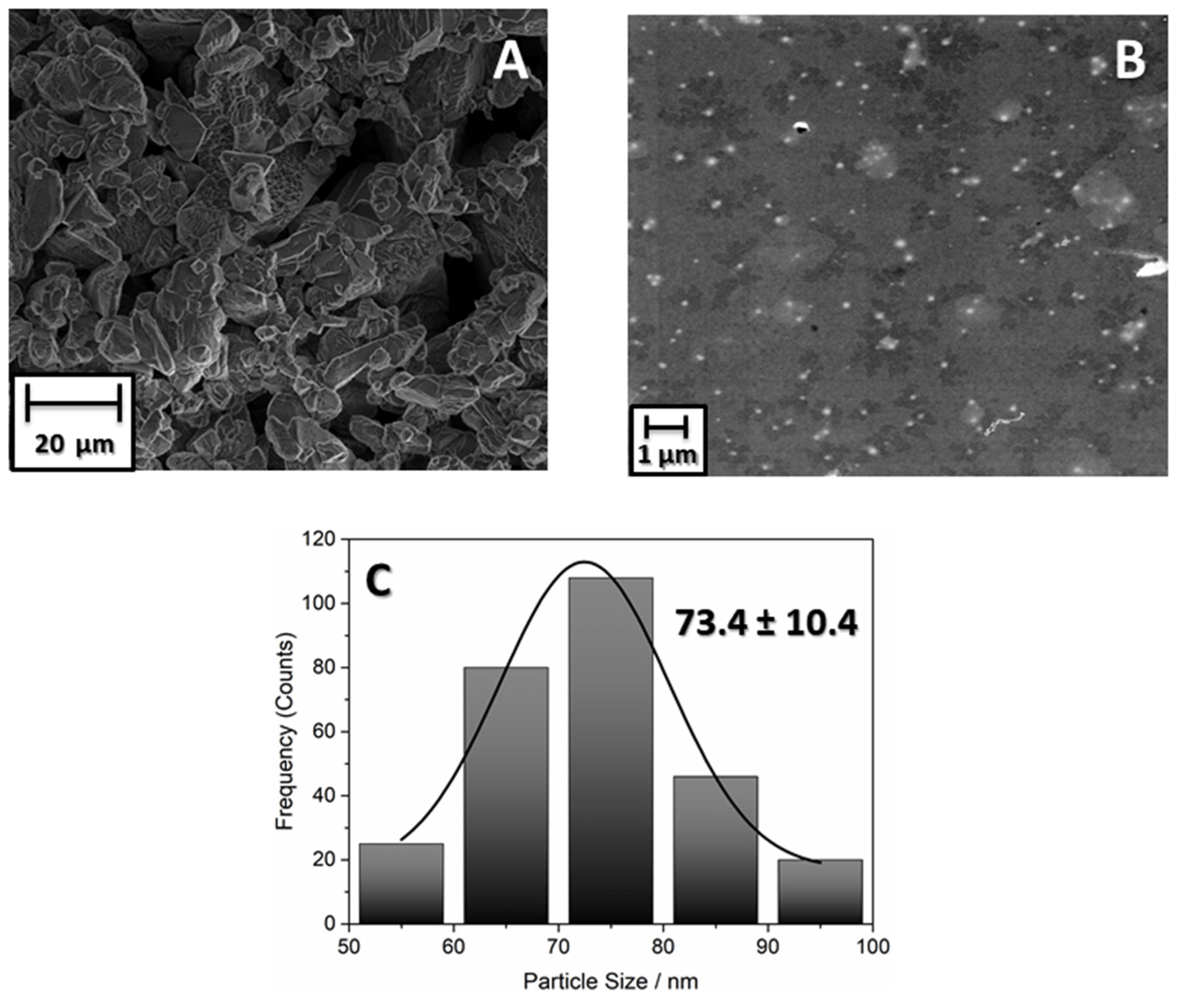 Antibiotics 13 00340 g001