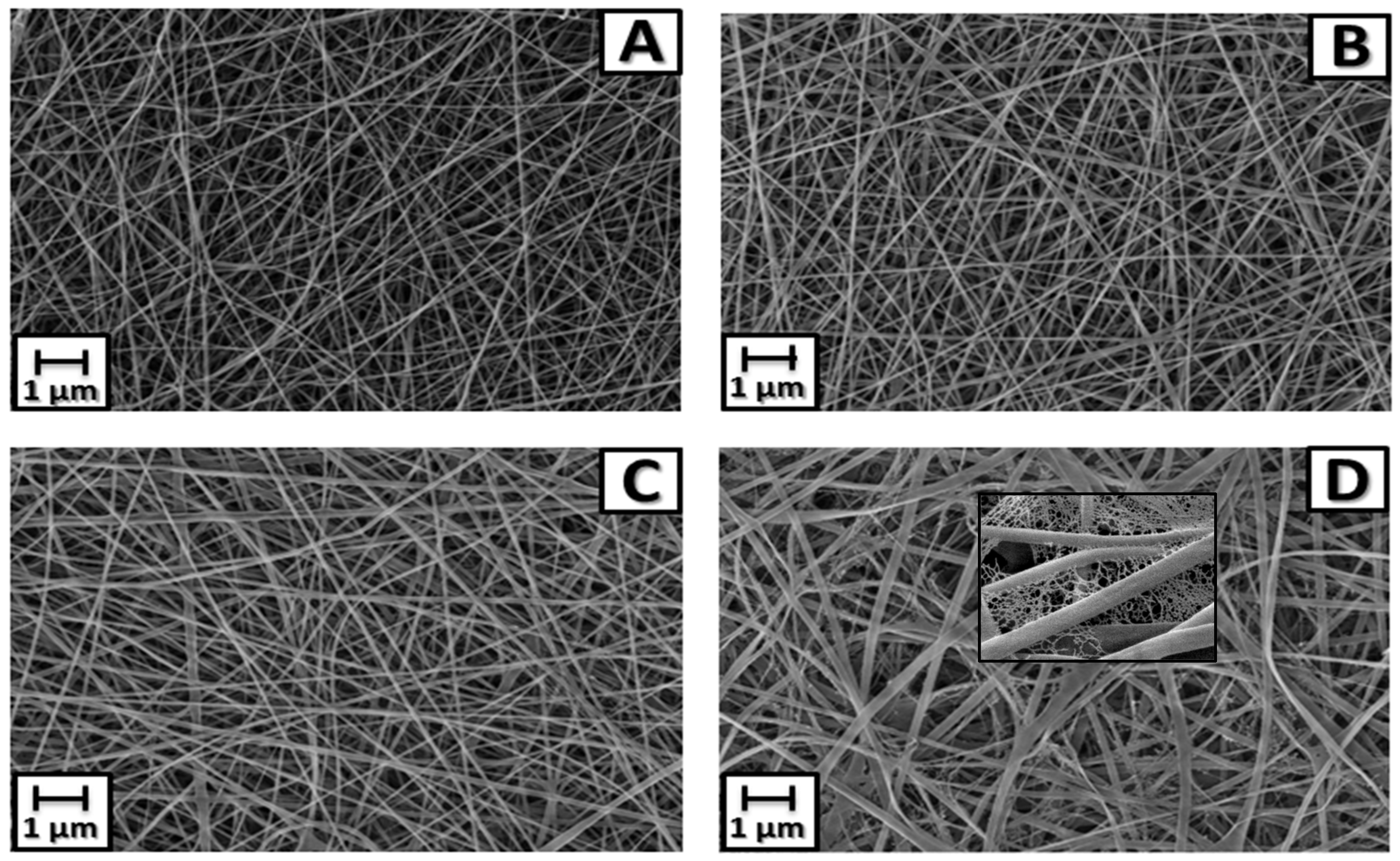 Antibiotics 13 00340 g003