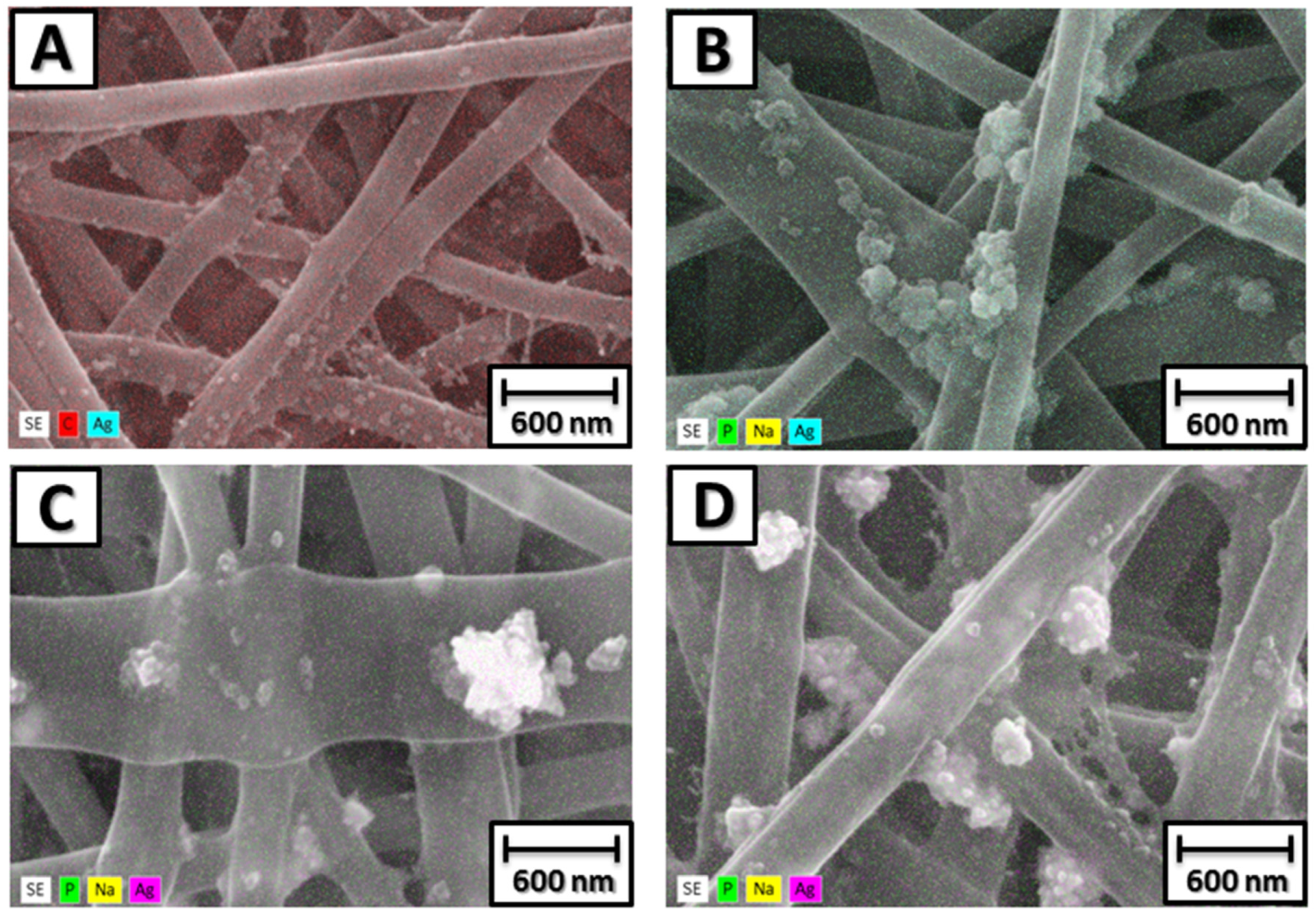 Antibiotics 13 00340 g004
