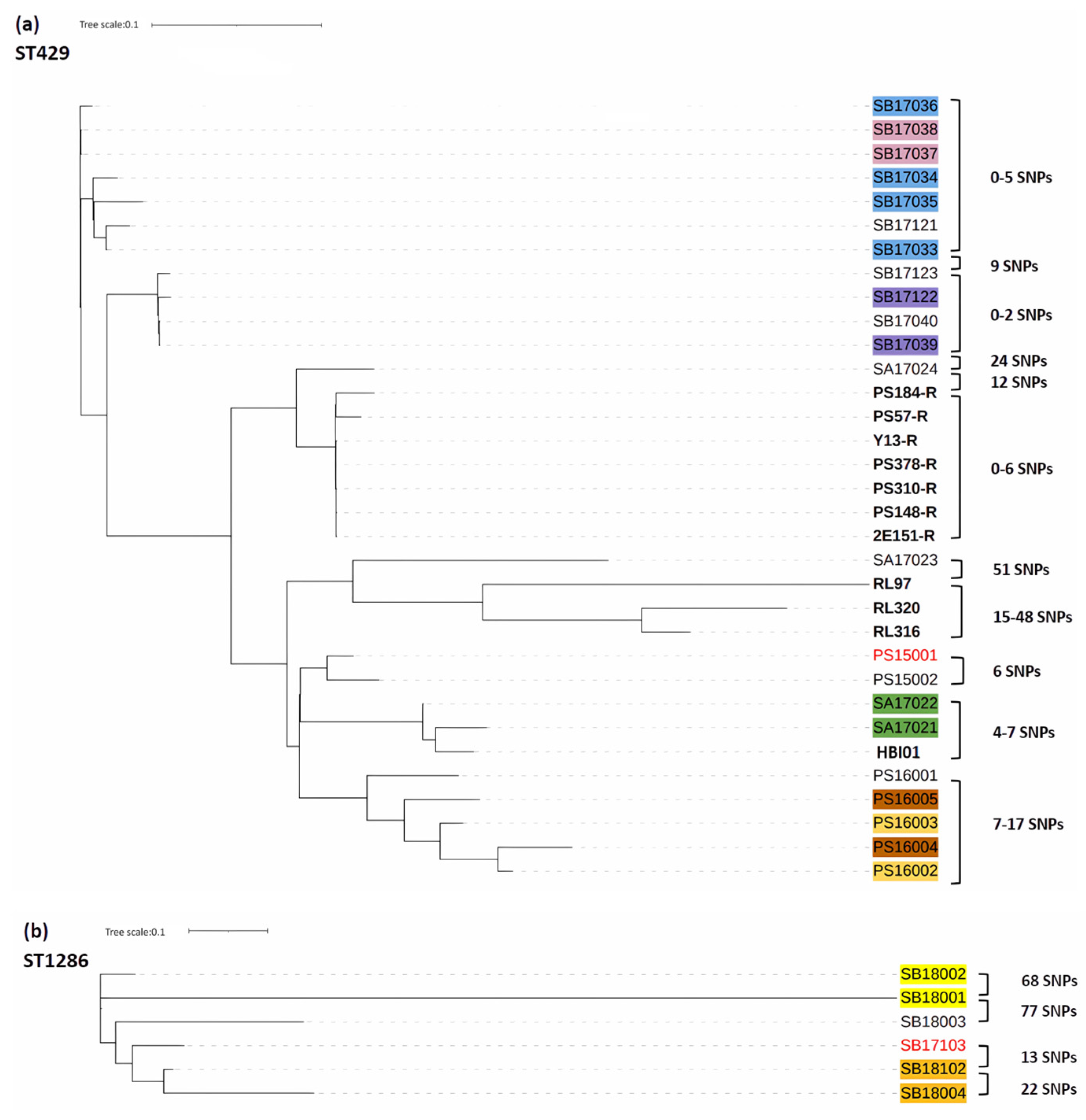 Antibiotics 13 00349 g003