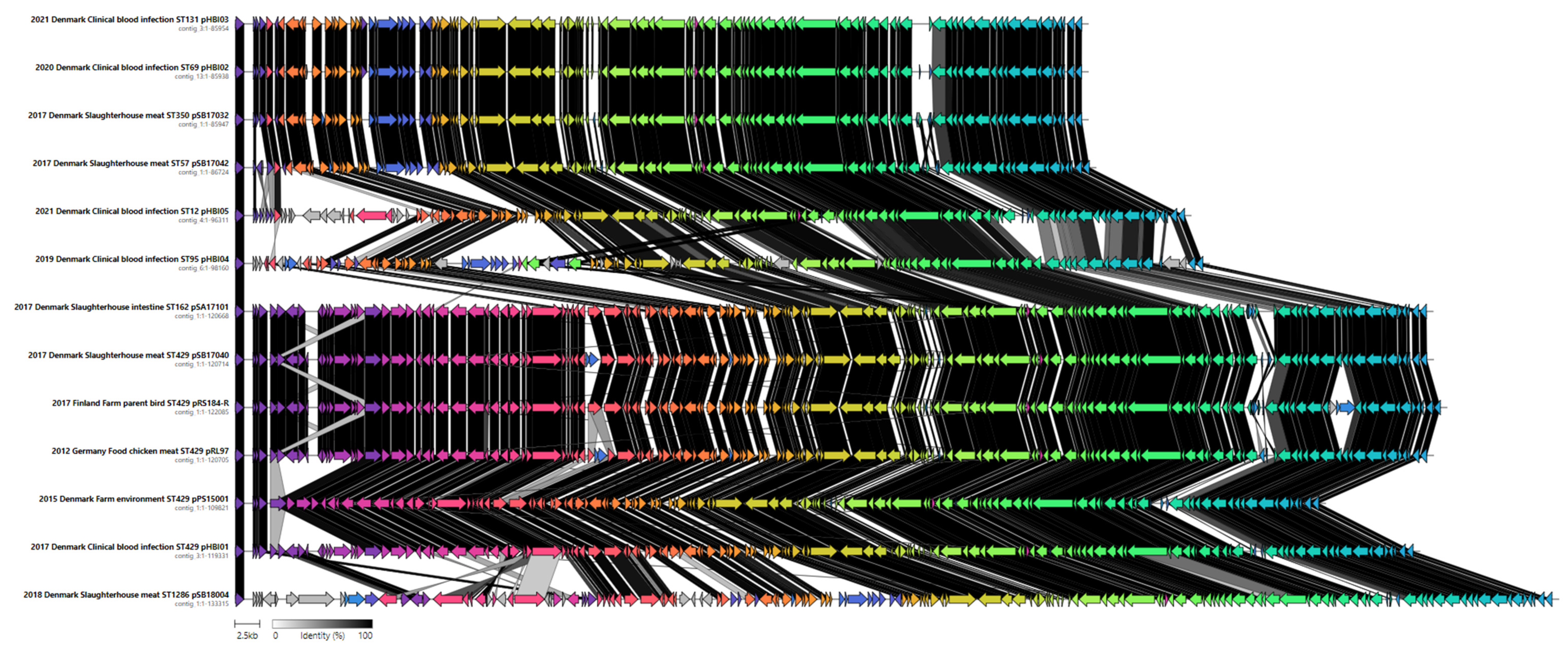 Antibiotics 13 00349 g005