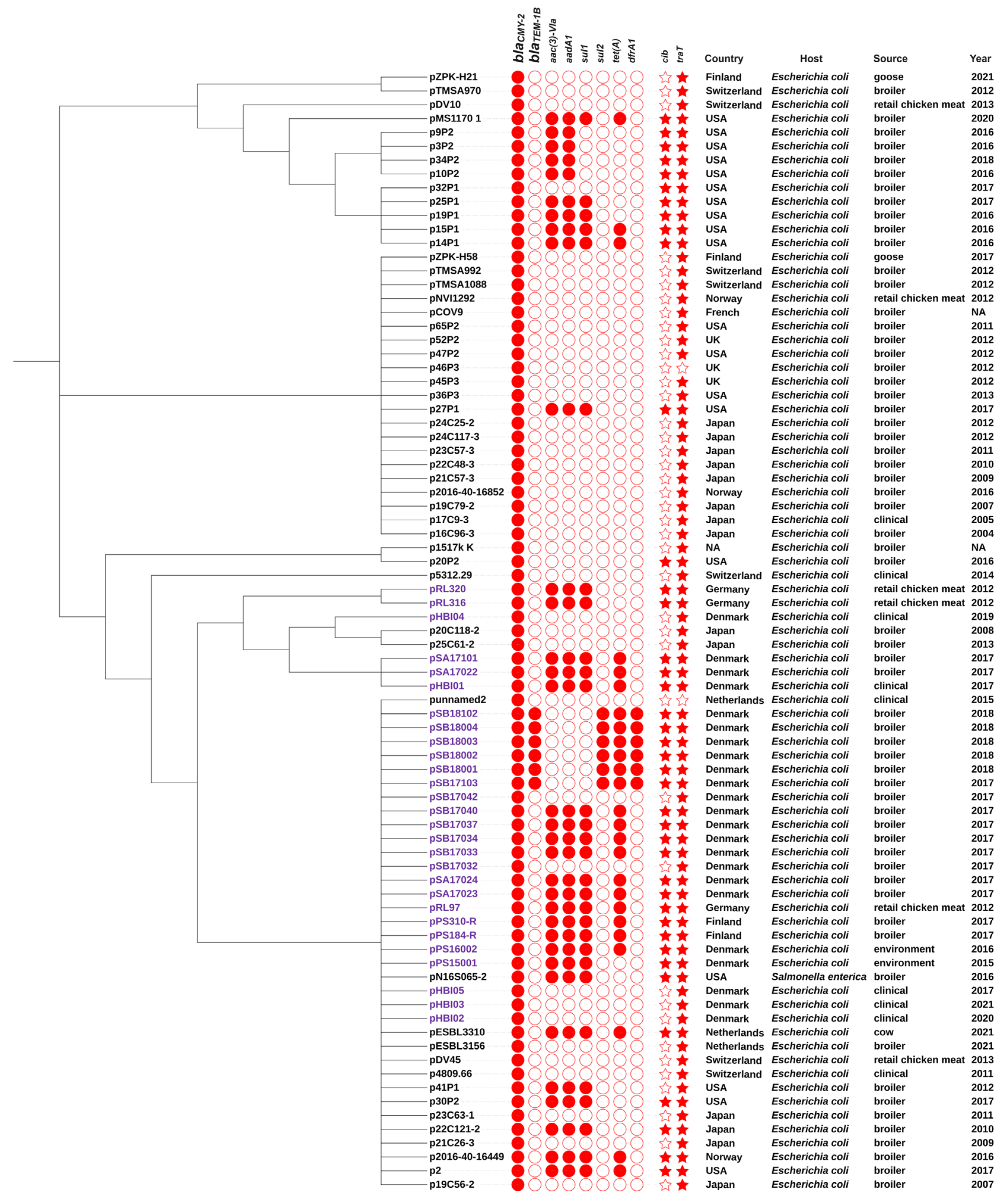 Antibiotics 13 00349 g006