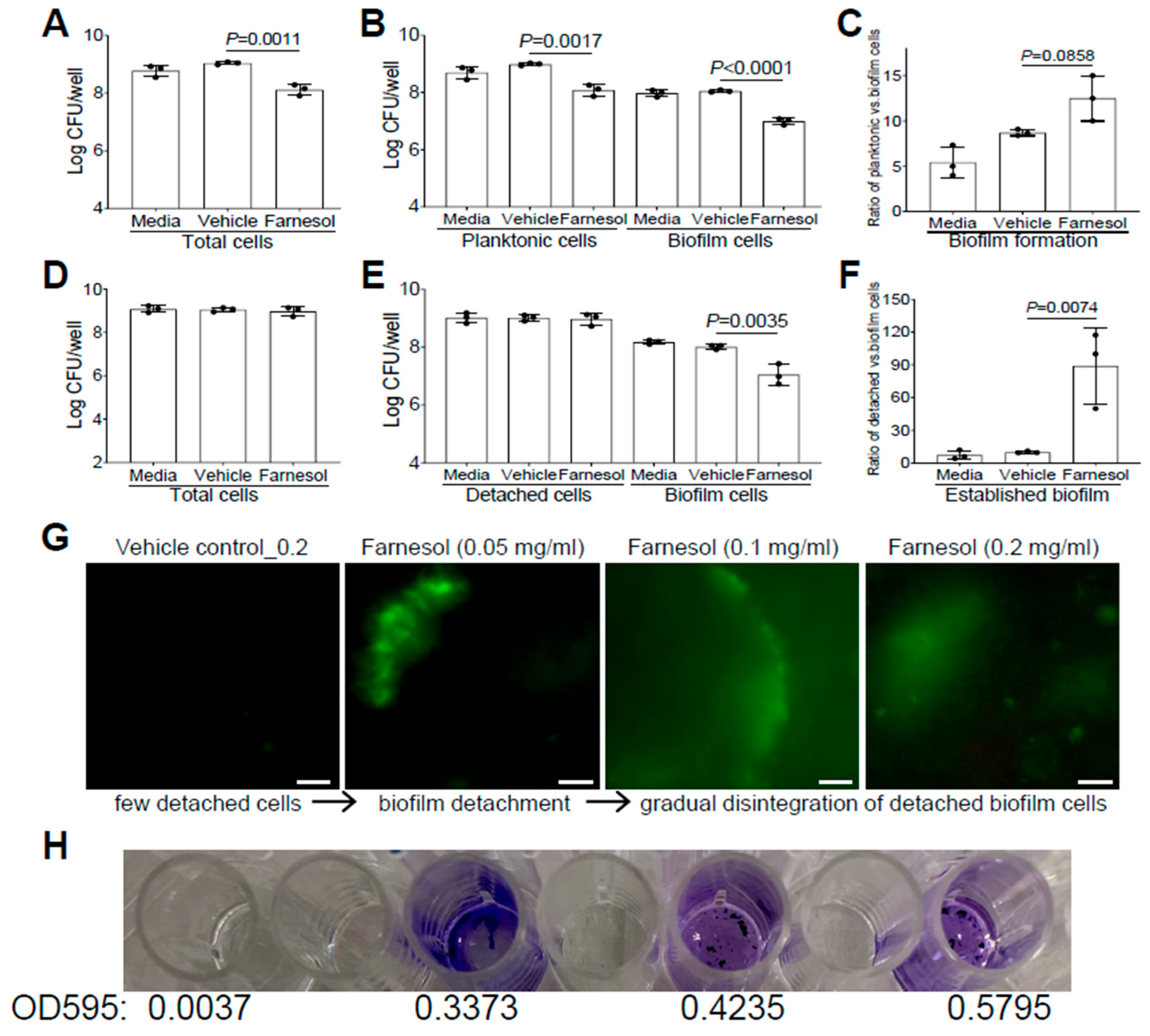 Antibiotics 13 00350 g004