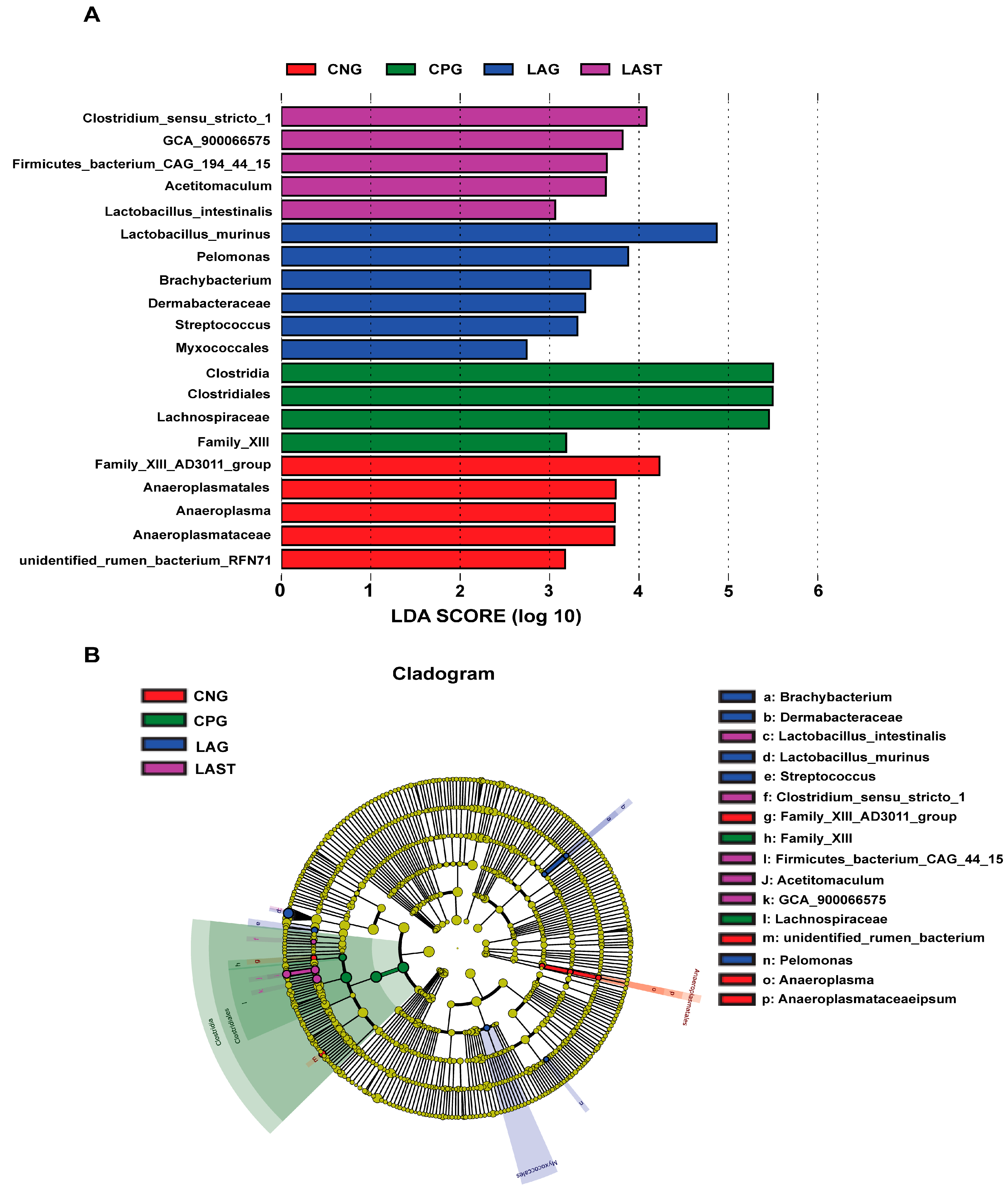 Antibiotics 13 00352 g006