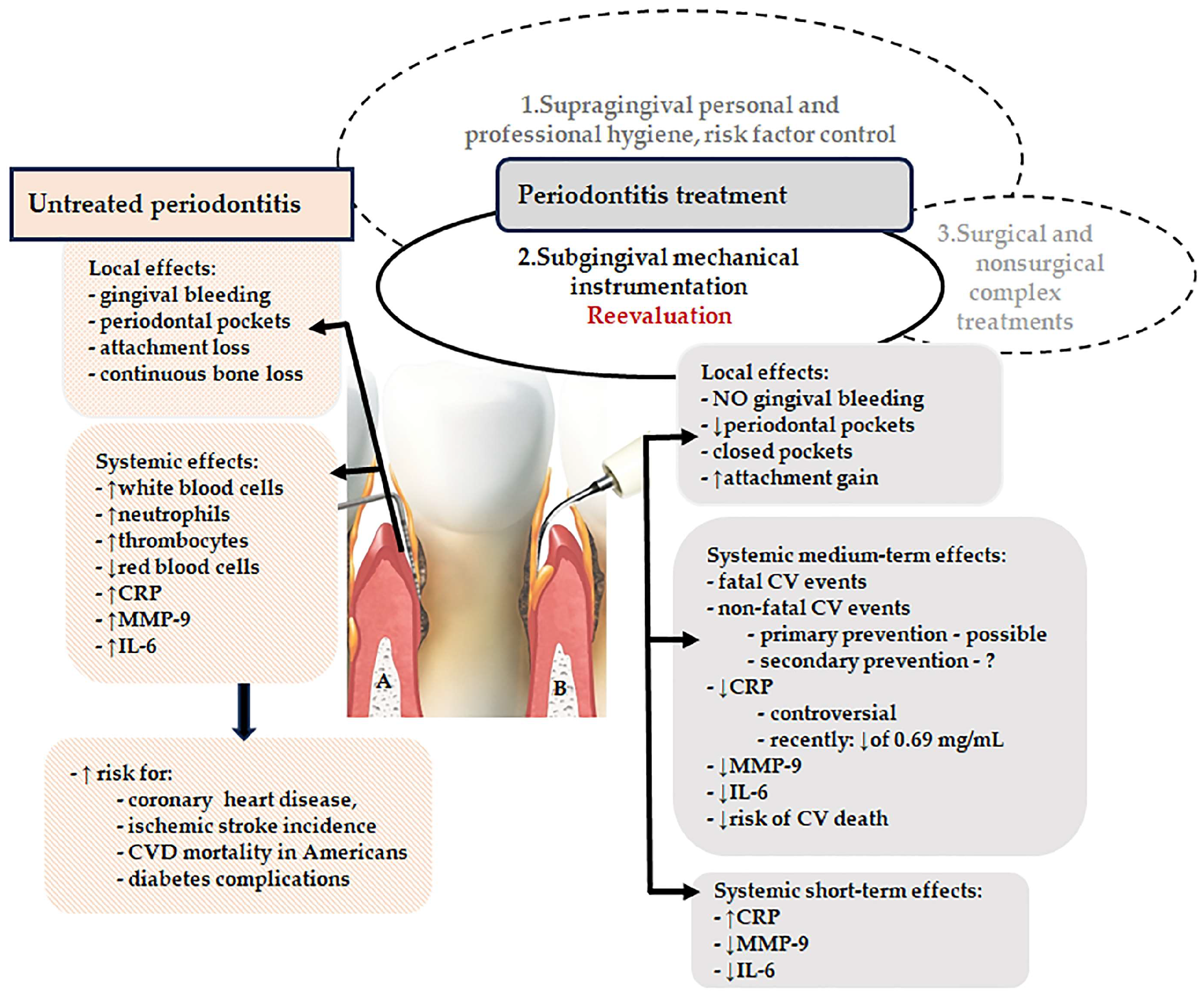 Antibiotics 13 00359 g001