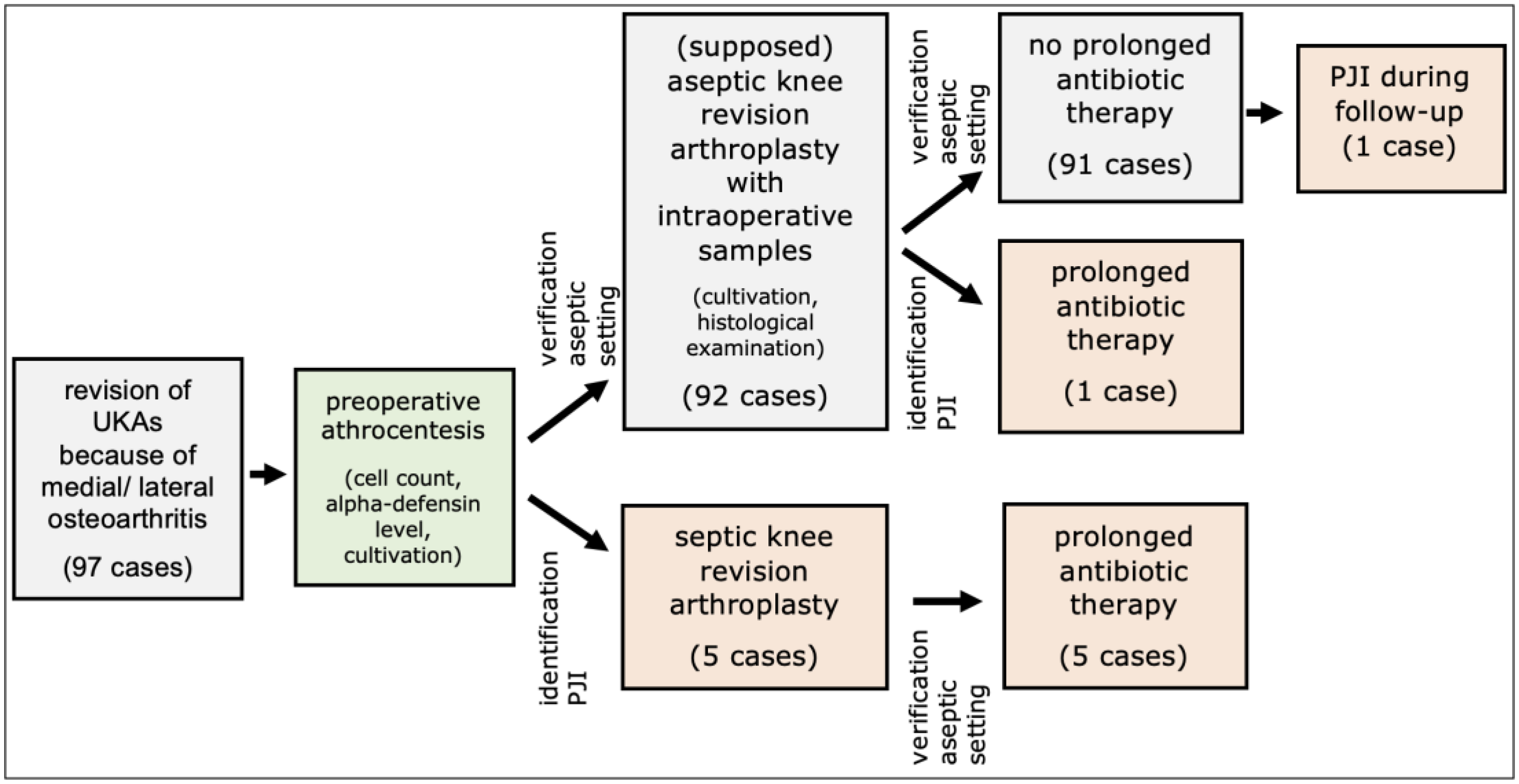 Antibiotics 13 00361 g001