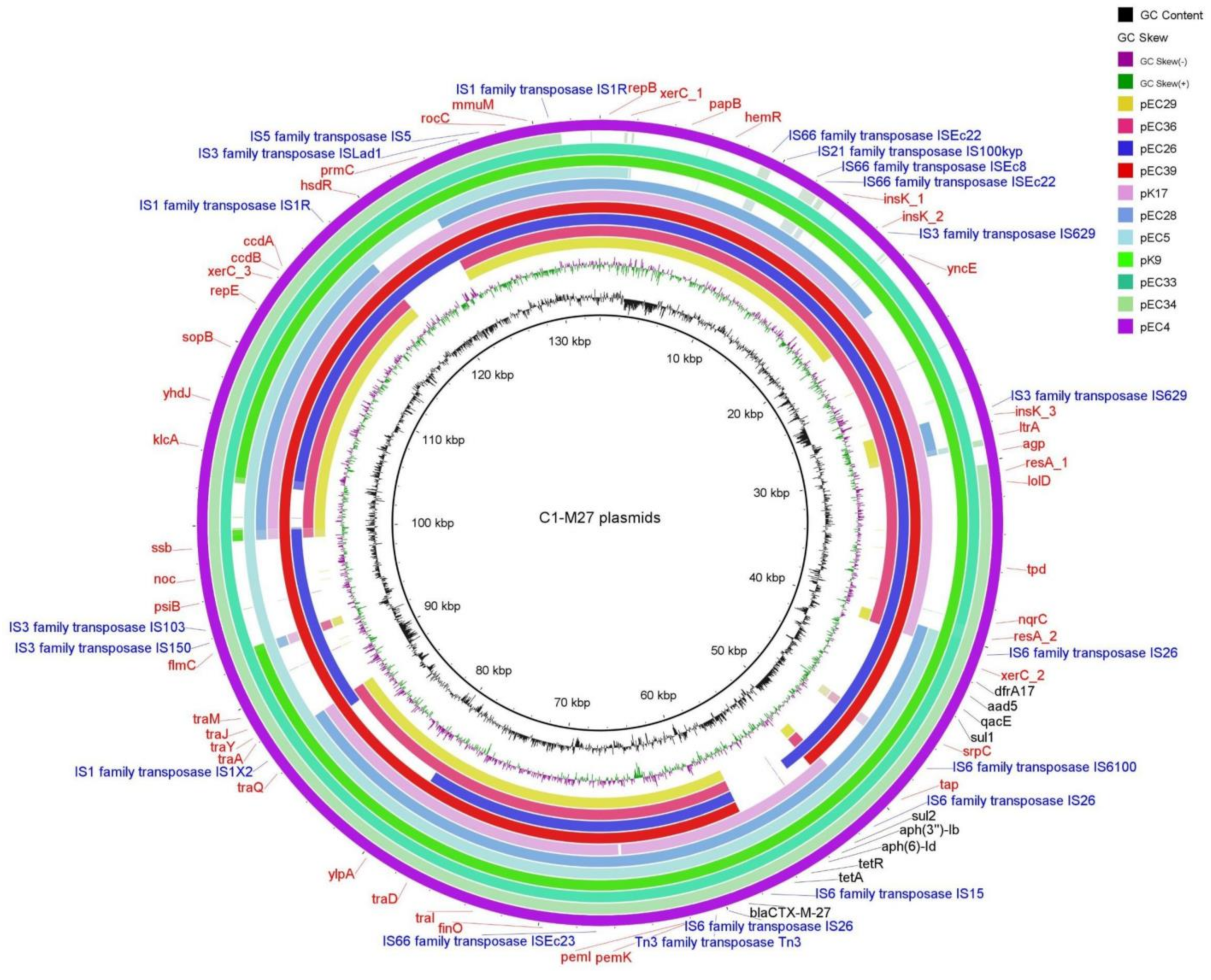 Antibiotics 13 00363 g003