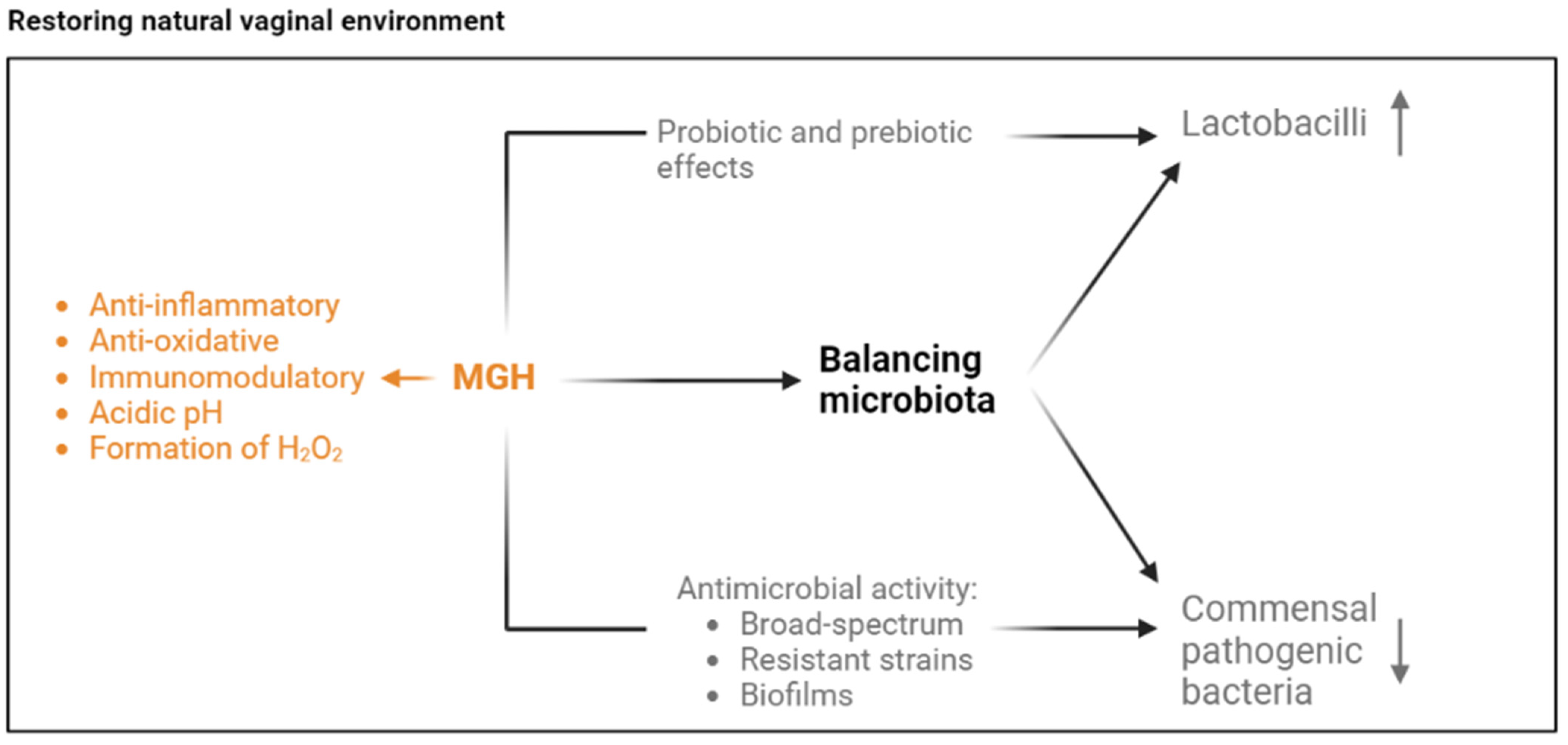 Antibiotics 13 00368 g001