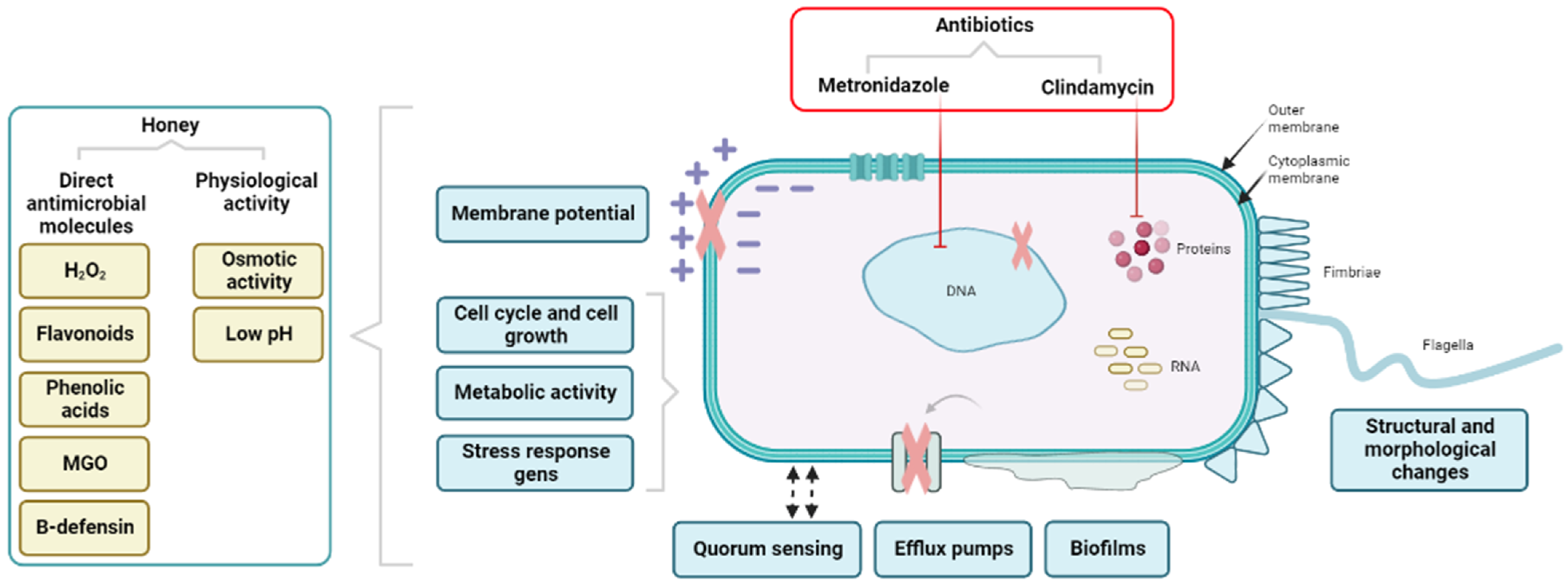 Antibiotics 13 00368 g002