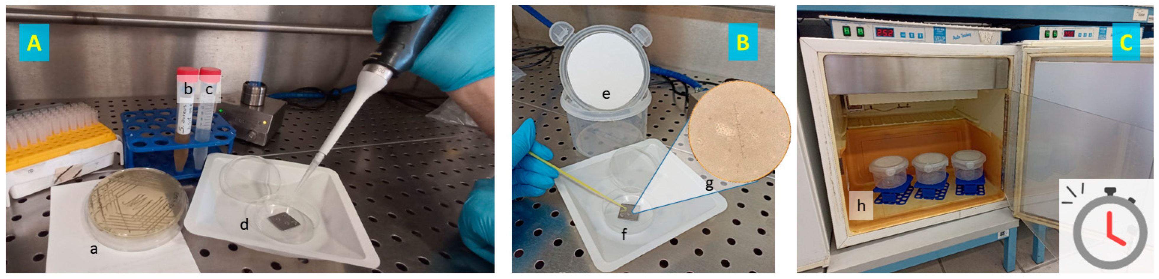 Antibiotics 13 00371 g003