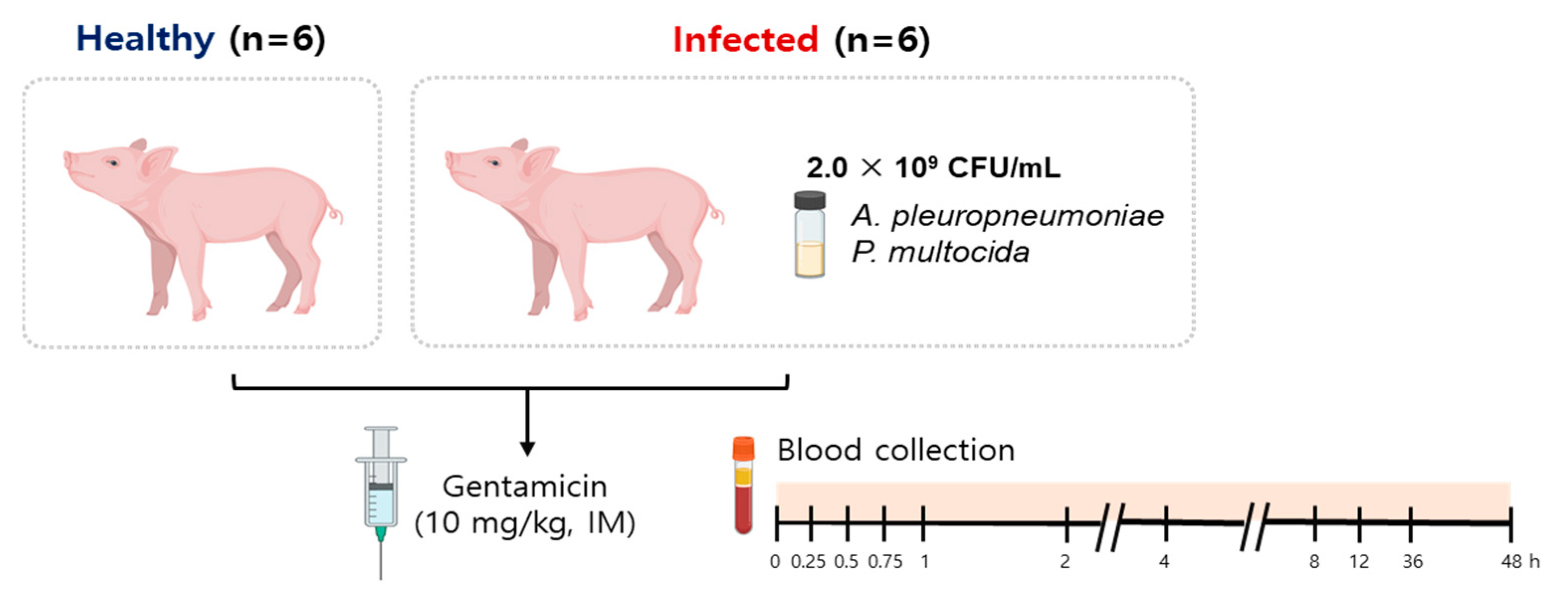 Antibiotics 13 00372 g005