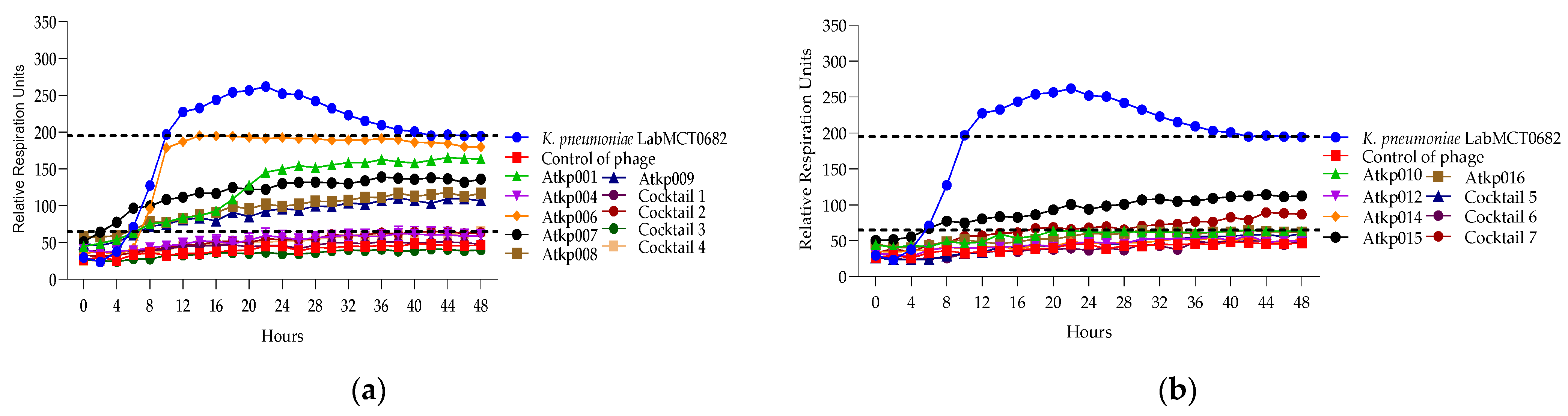 Antibiotics 13 00385 g011