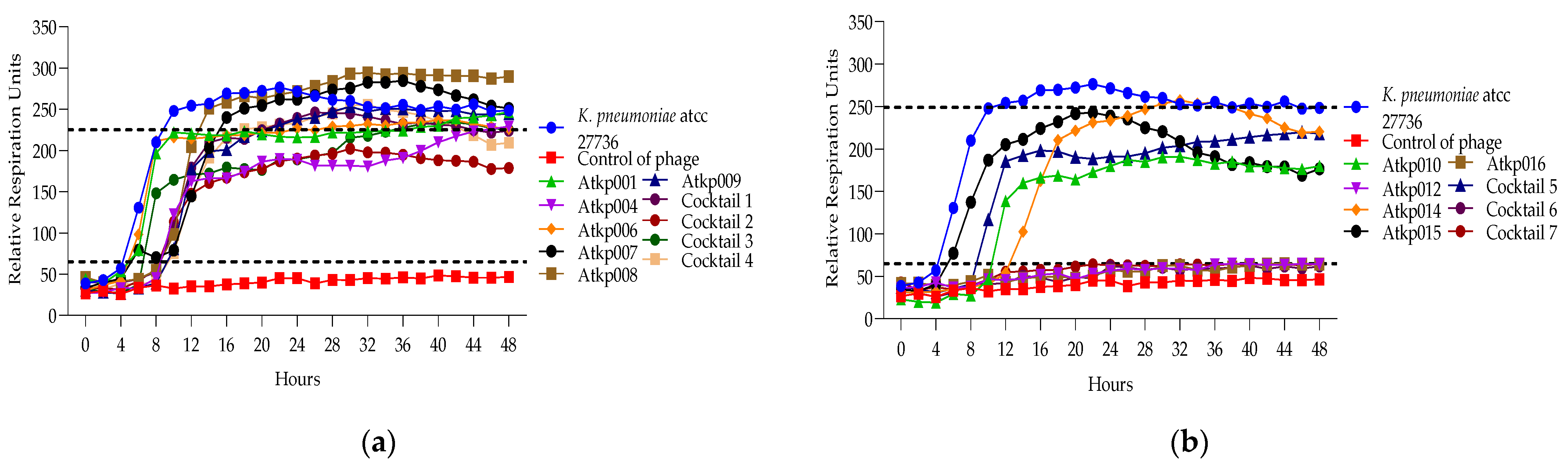 Antibiotics 13 00385 g012