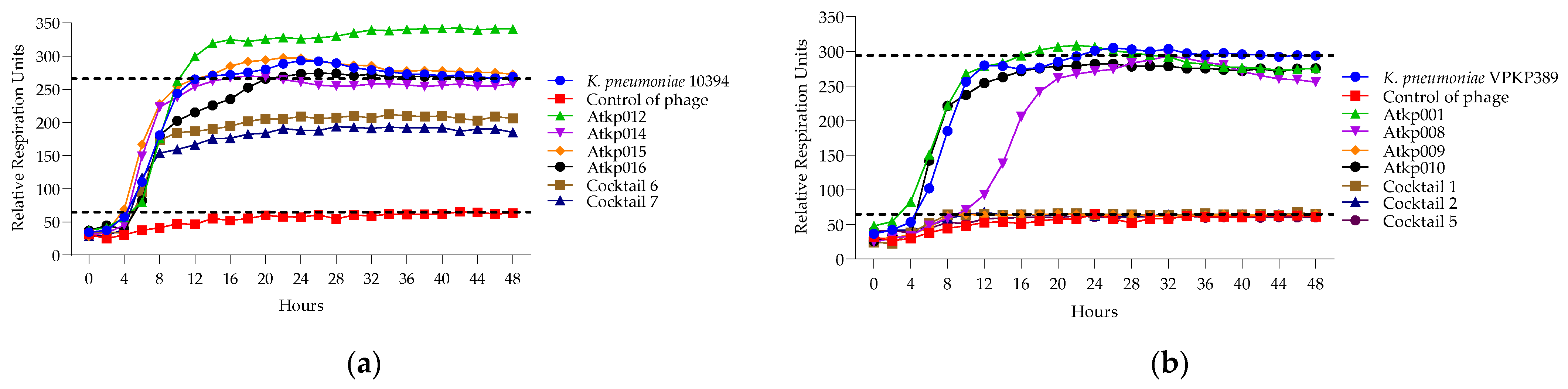 Antibiotics 13 00385 g014