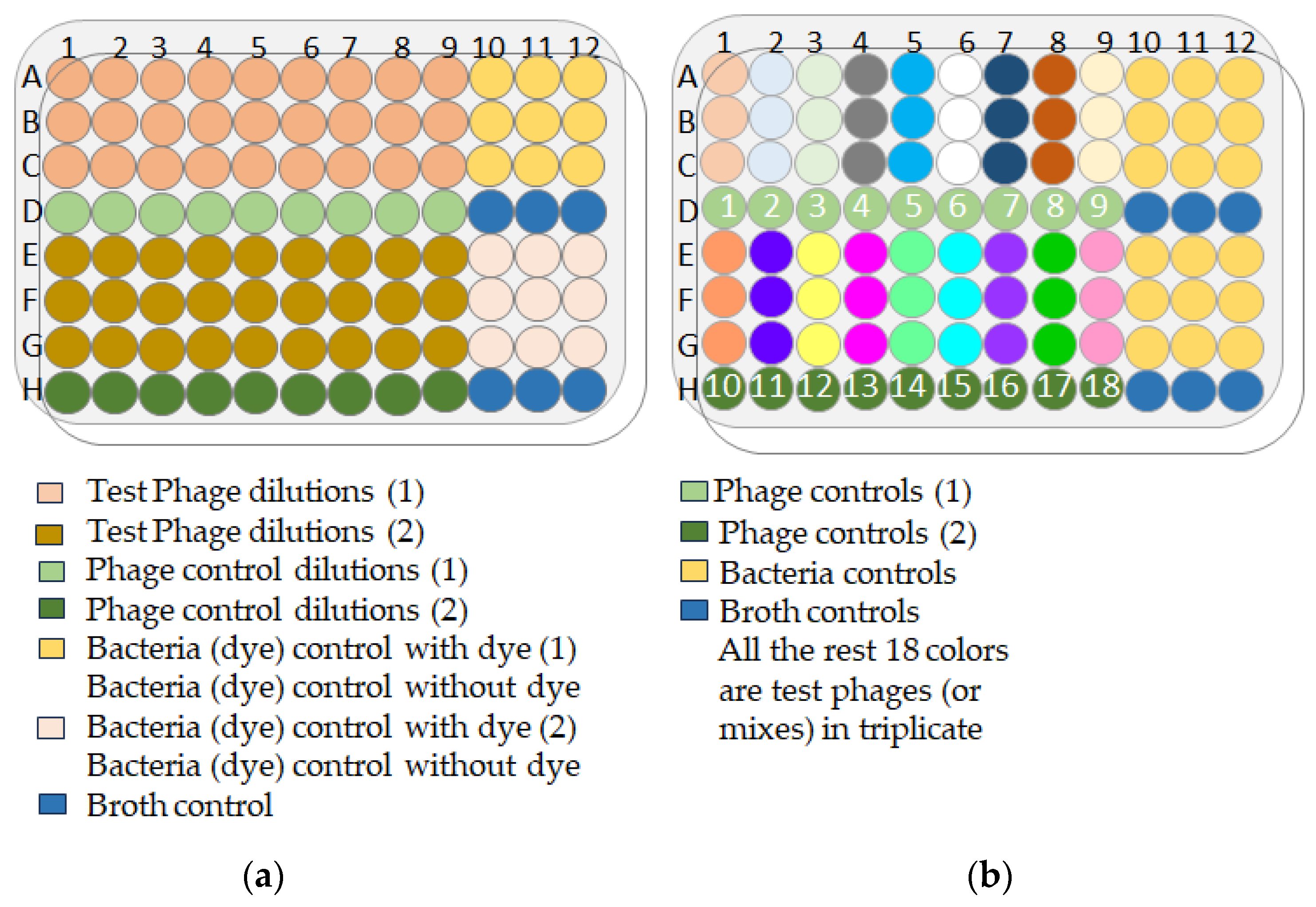 Antibiotics 13 00385 g017