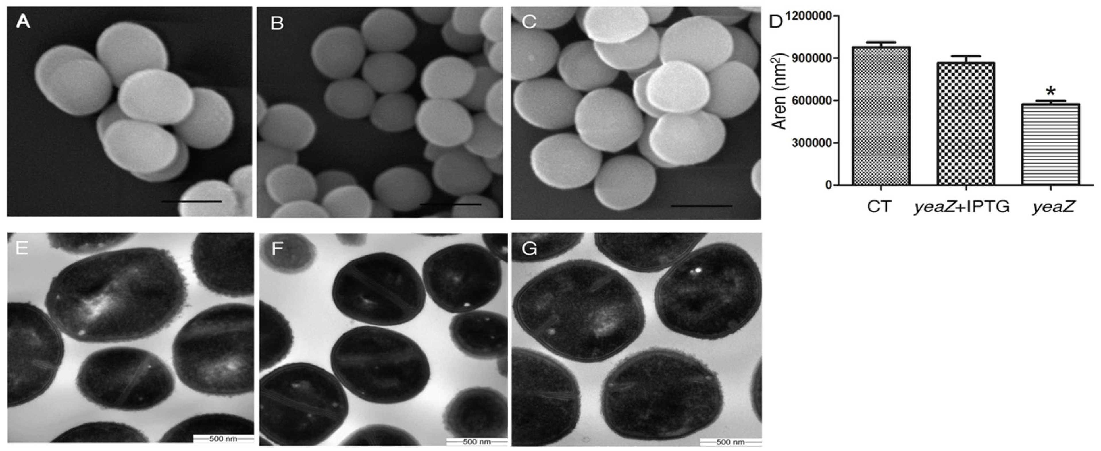 Antibiotics 13 00393 g001
