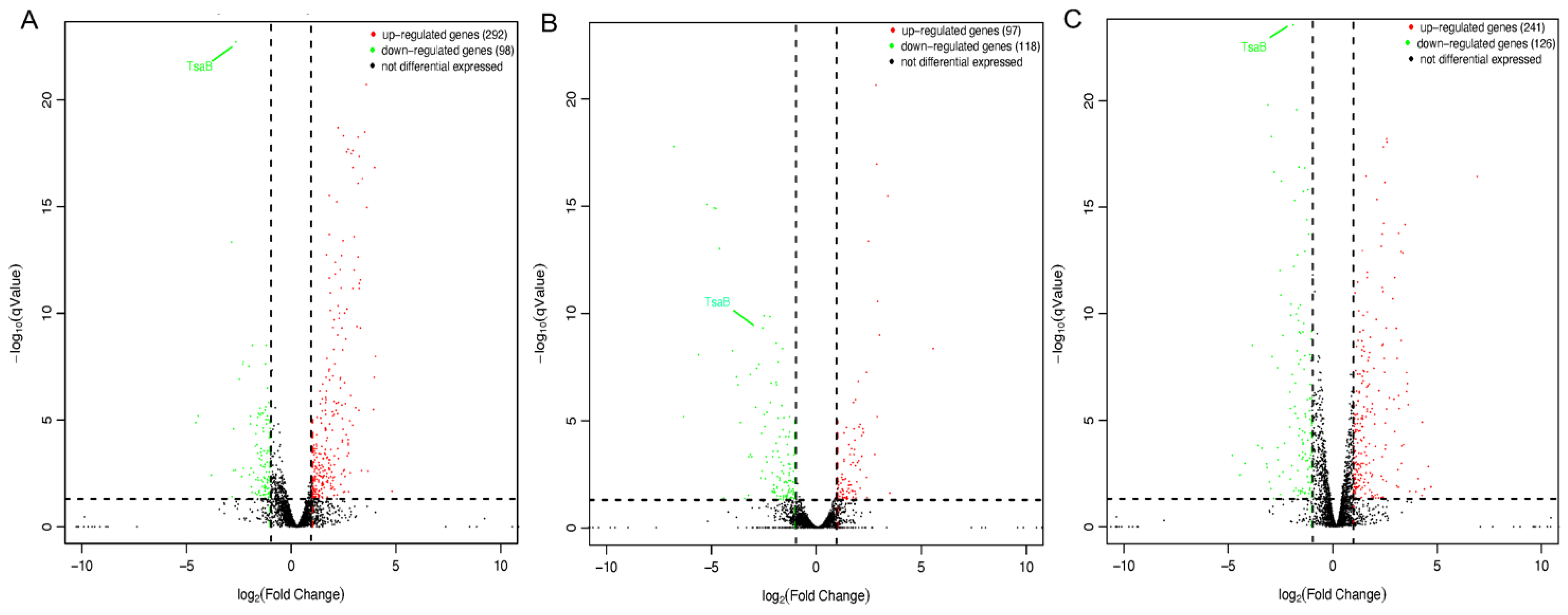 Antibiotics 13 00393 g002