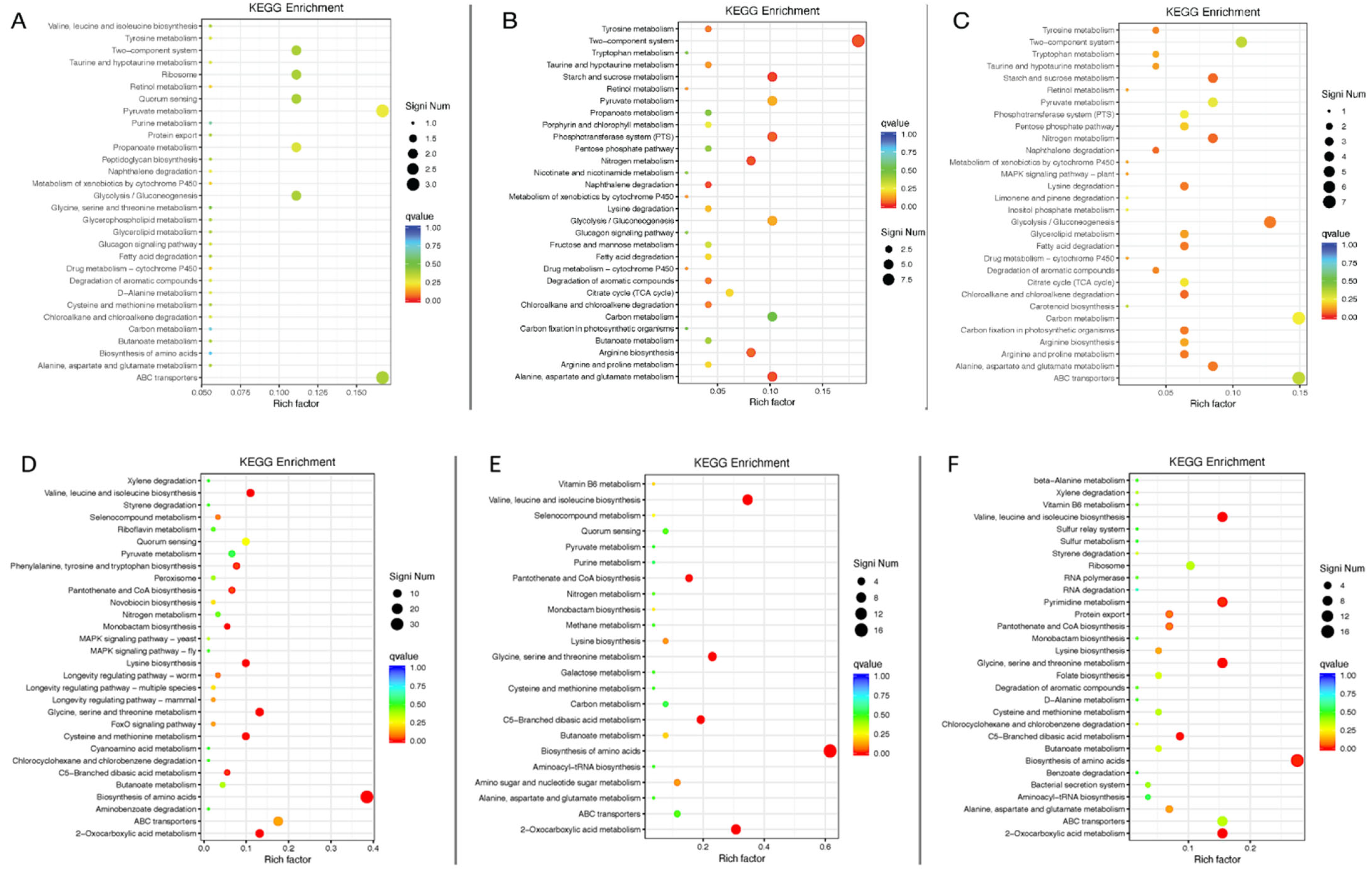 Antibiotics 13 00393 g005