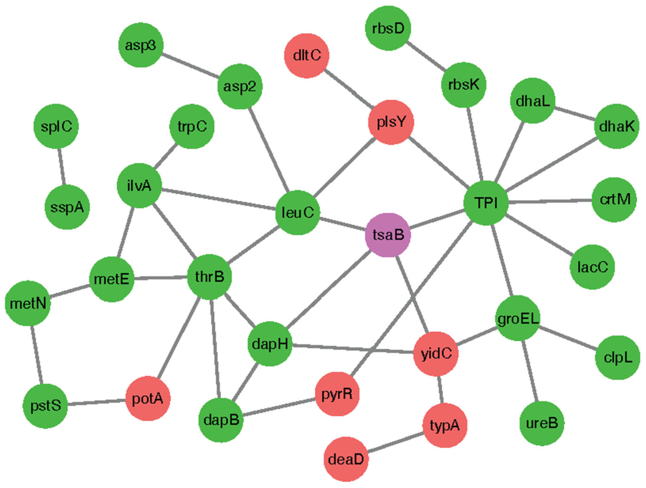 Antibiotics 13 00393 g007