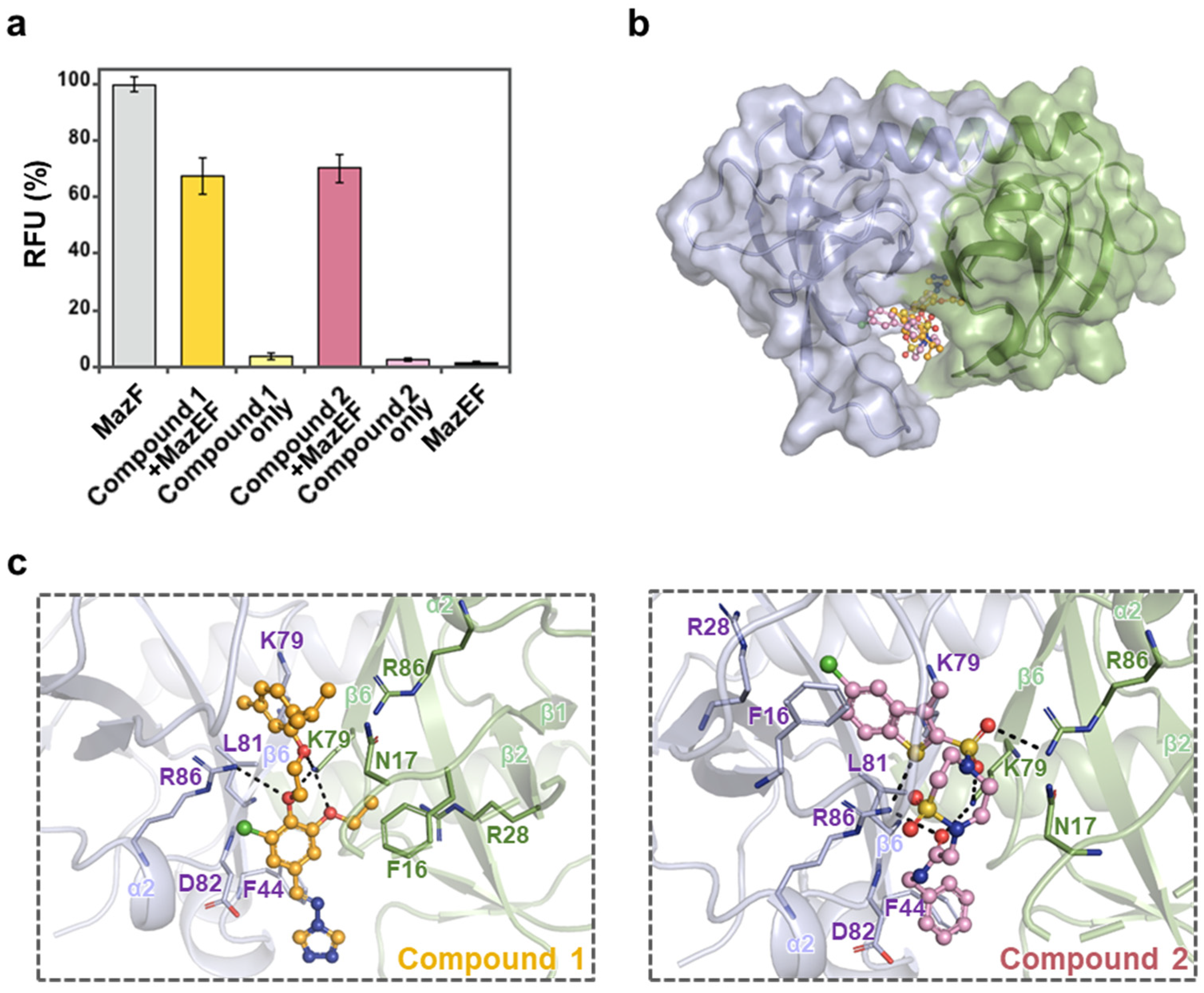 Antibiotics 13 00398 g002