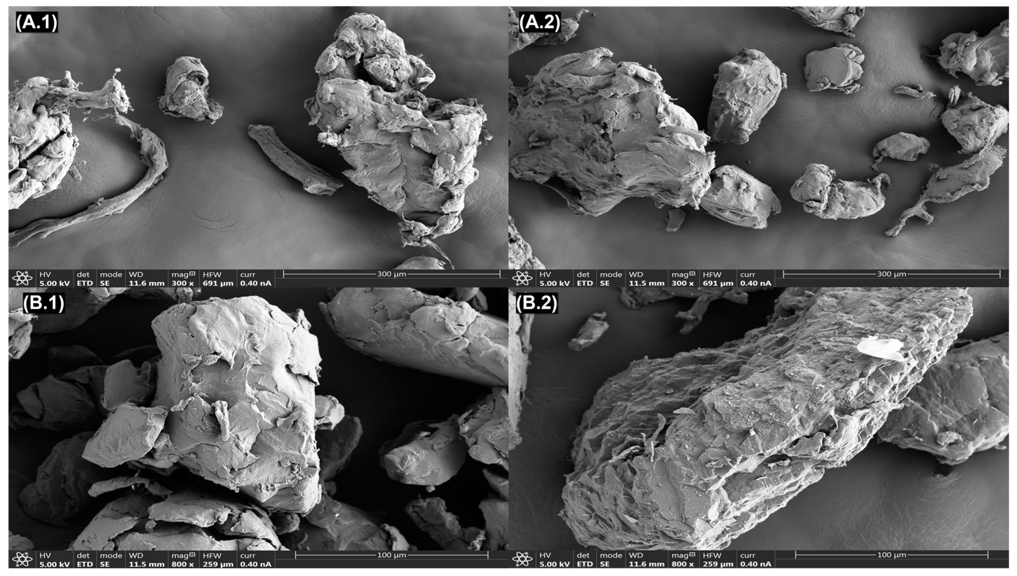 Antibiotics 13 00408 g001