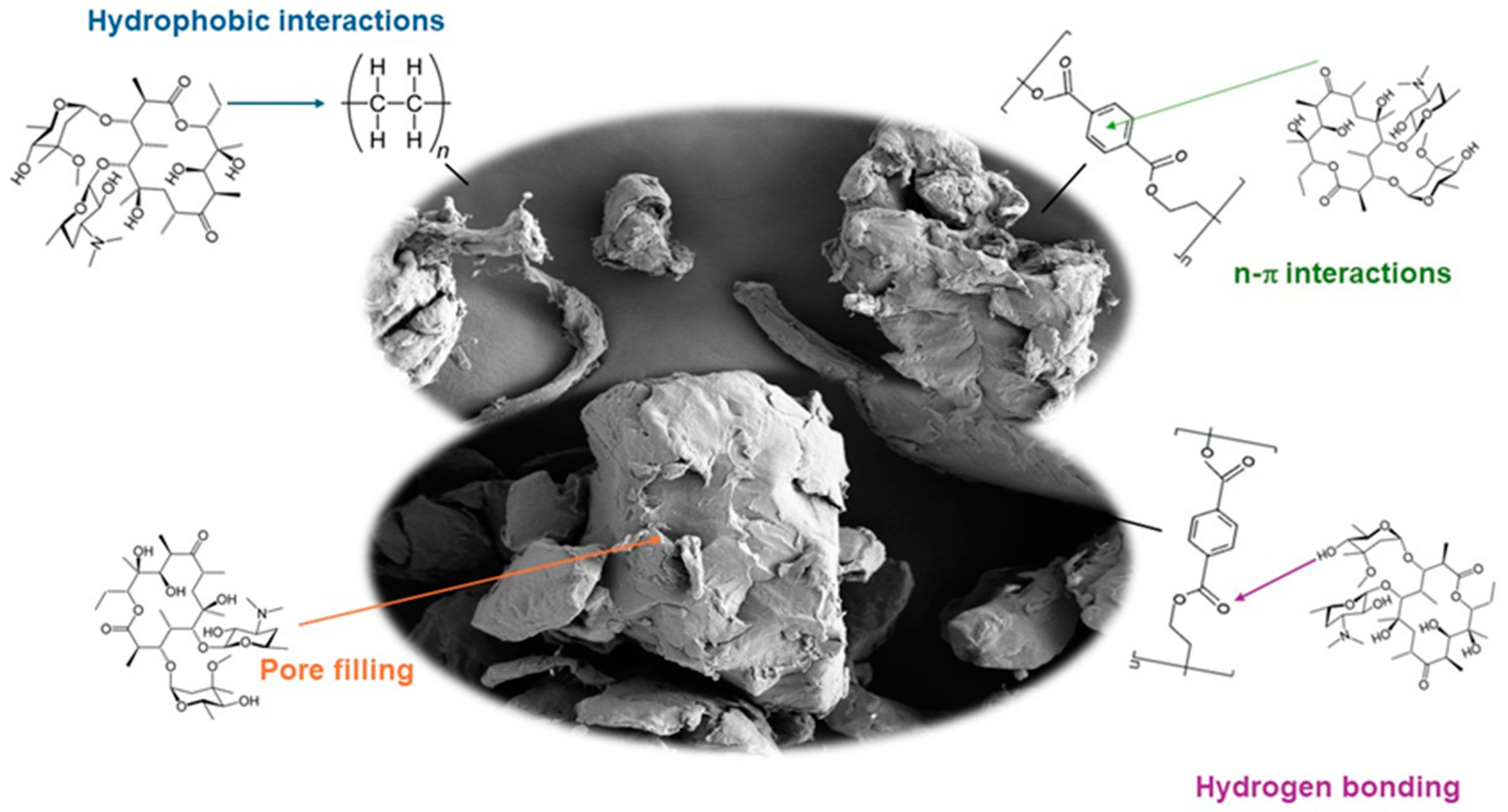 Antibiotics 13 00408 g002