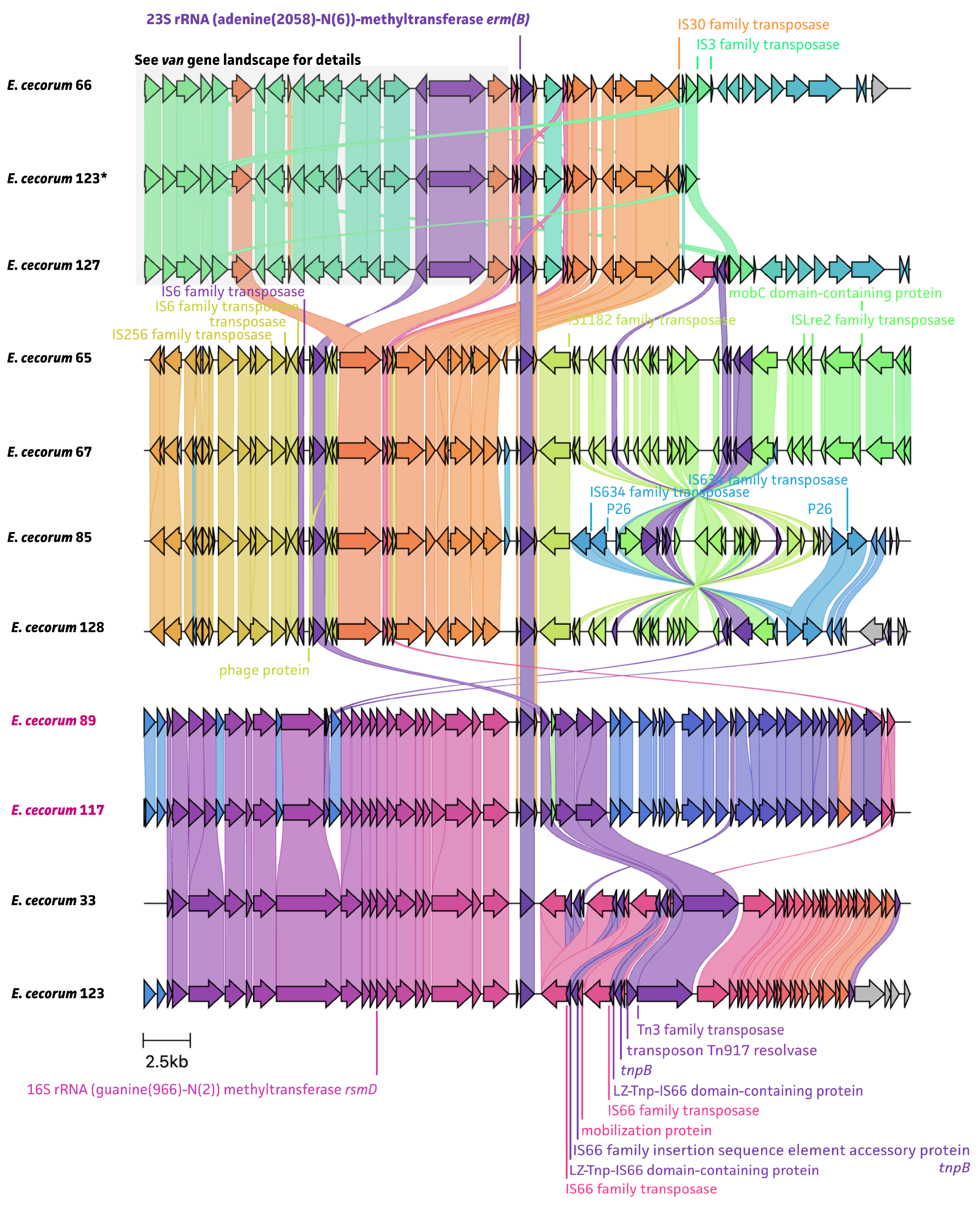 Antibiotics 13 00409 g006