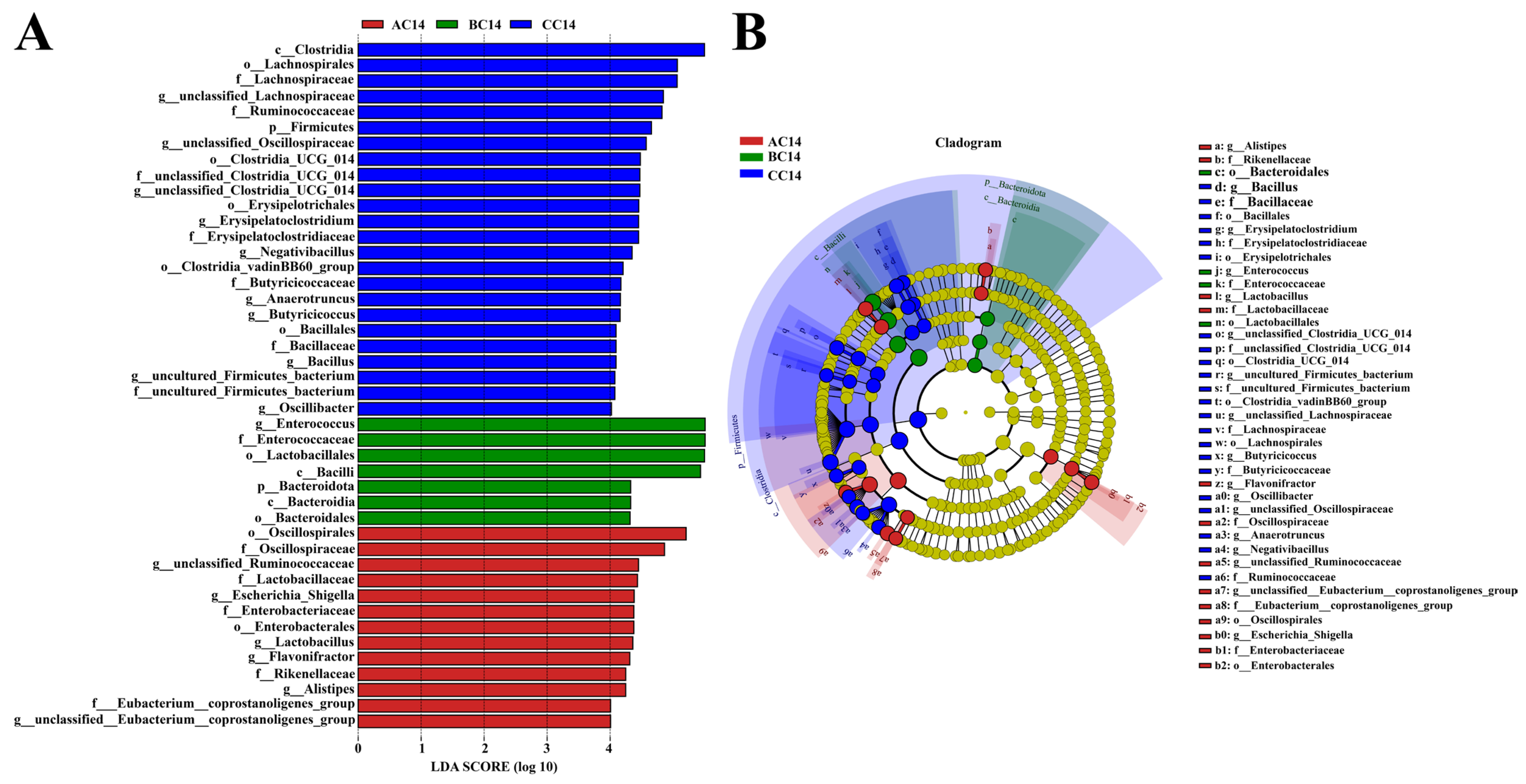 Antibiotics 13 00413 g003