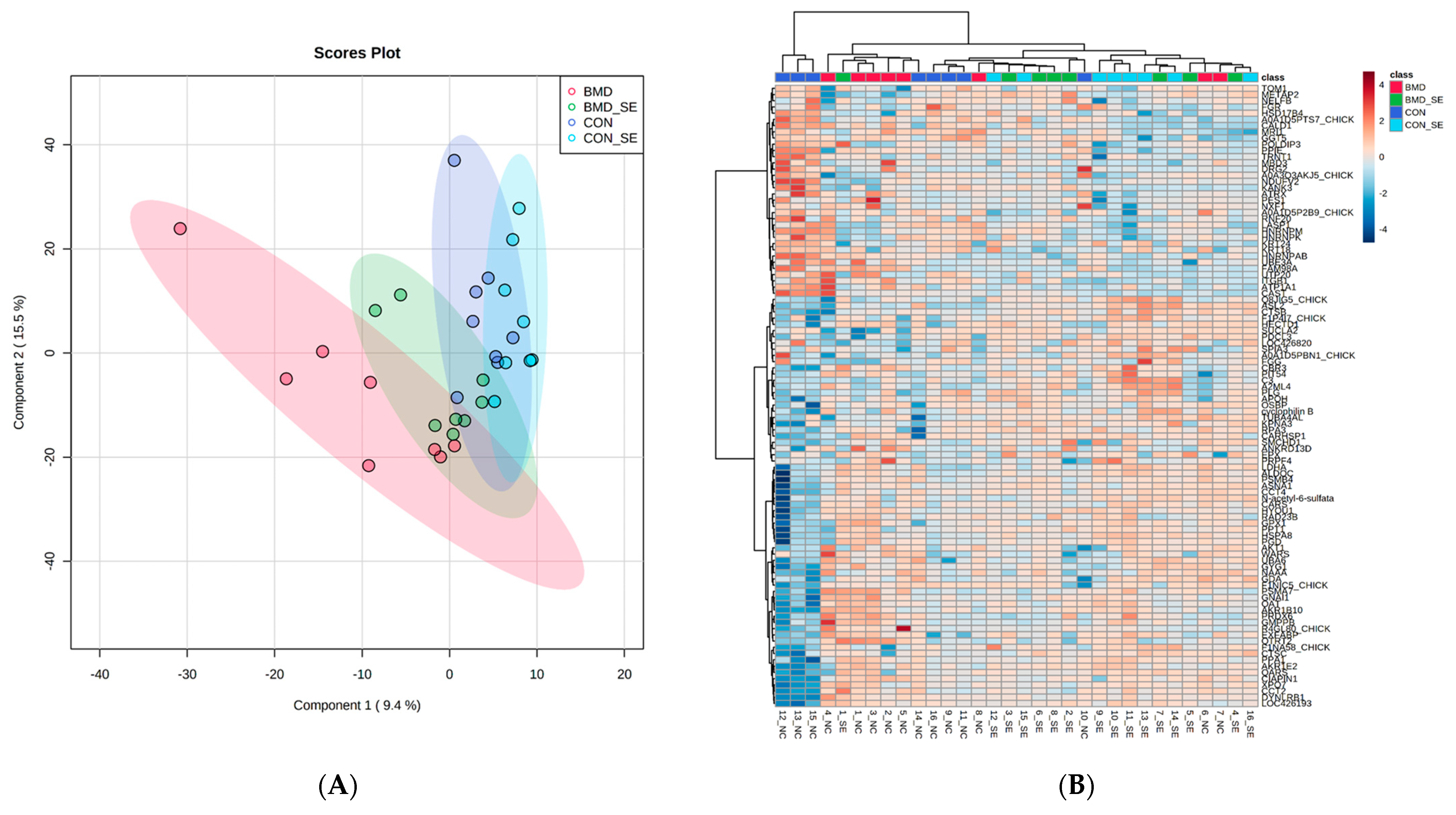 Antibiotics 13 00414 g001