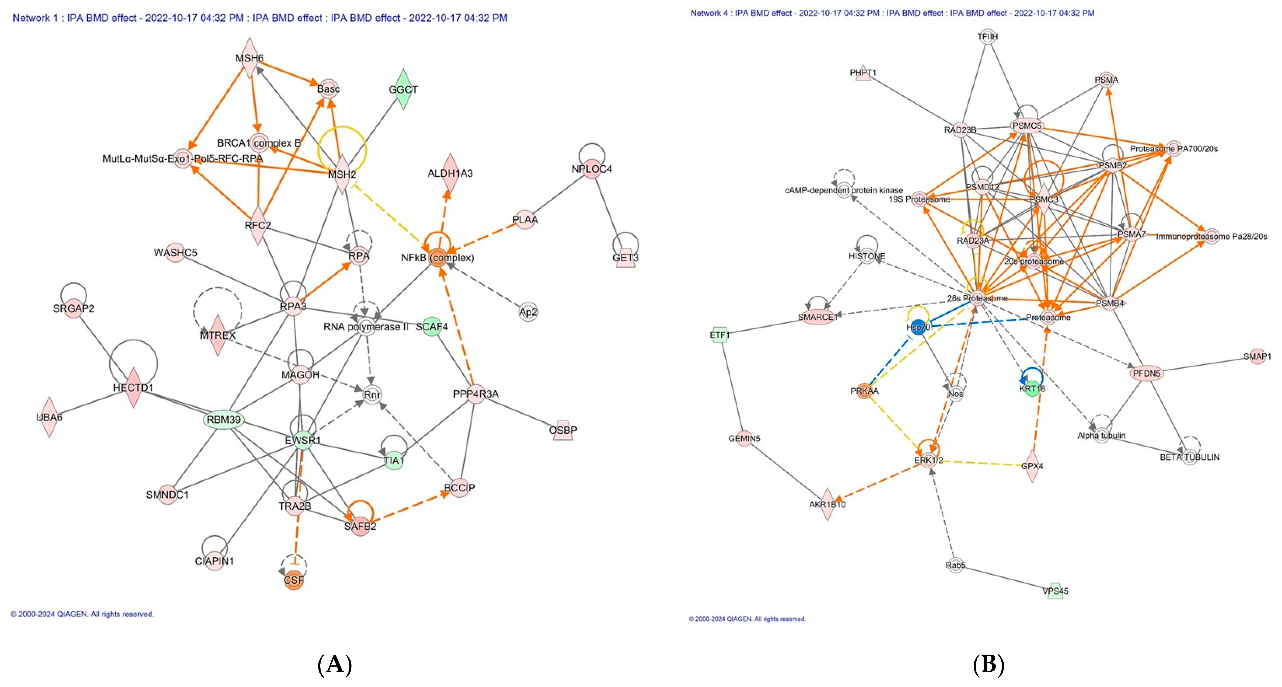 Antibiotics 13 00414 g002