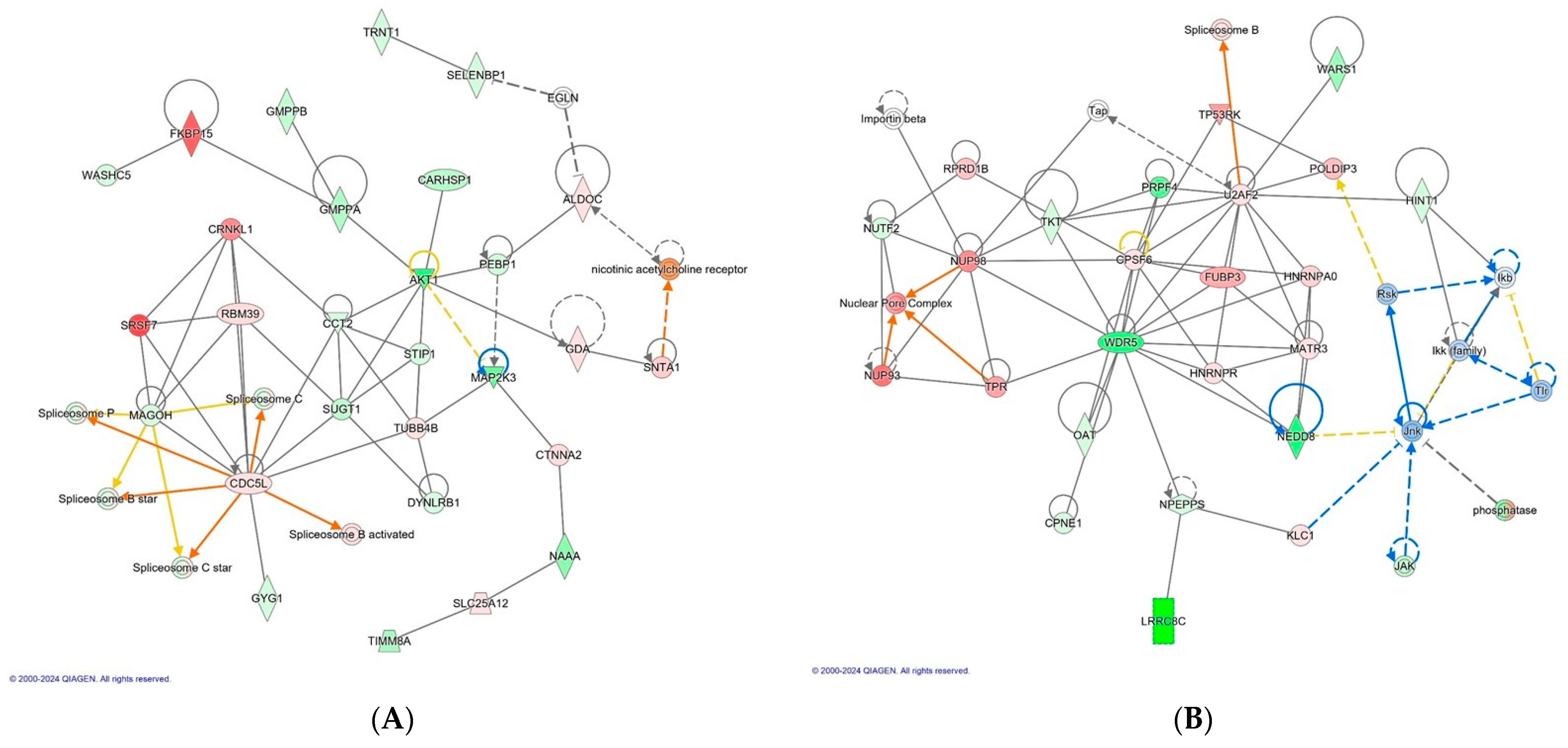Antibiotics 13 00414 g003