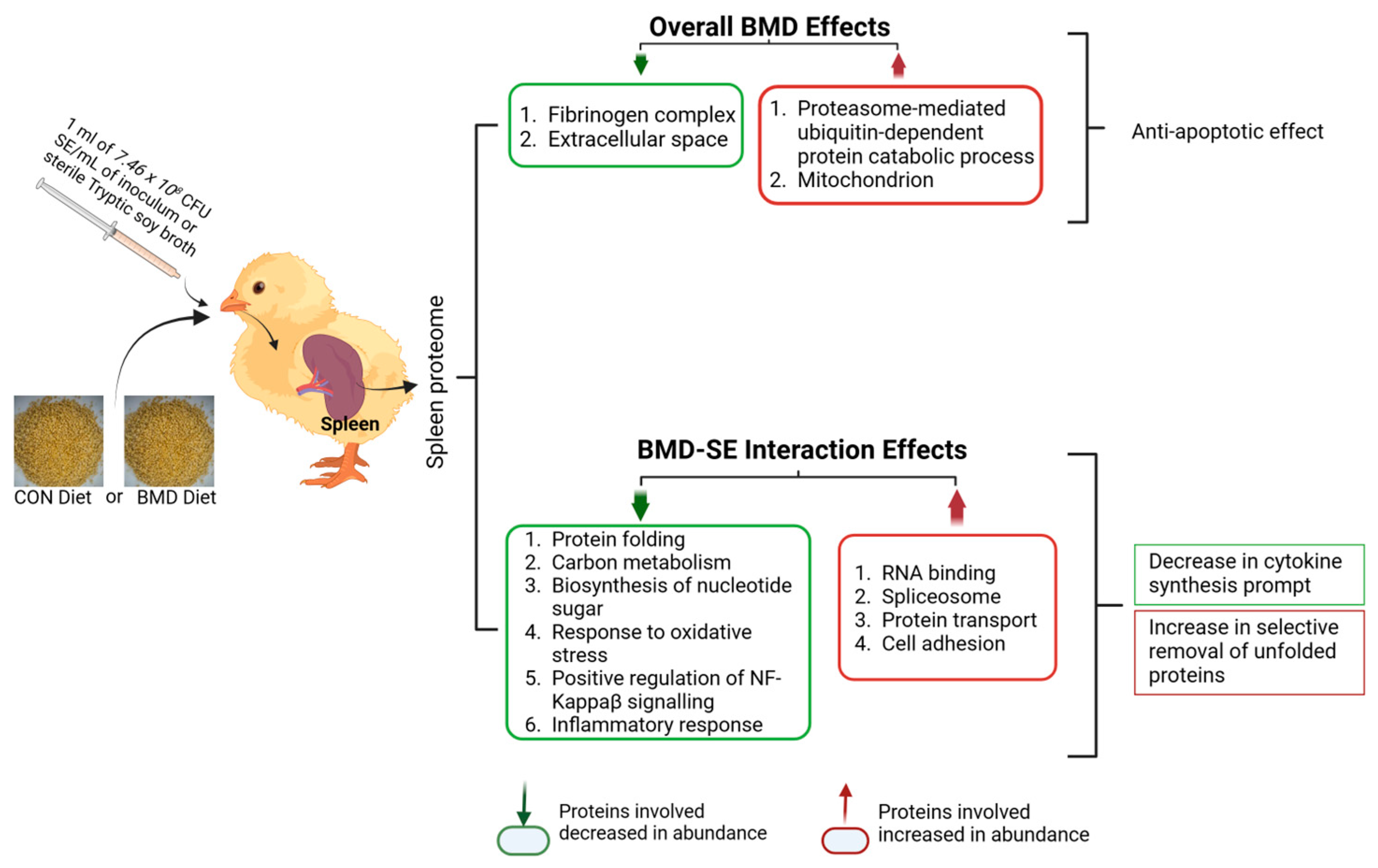 Antibiotics 13 00414 g006