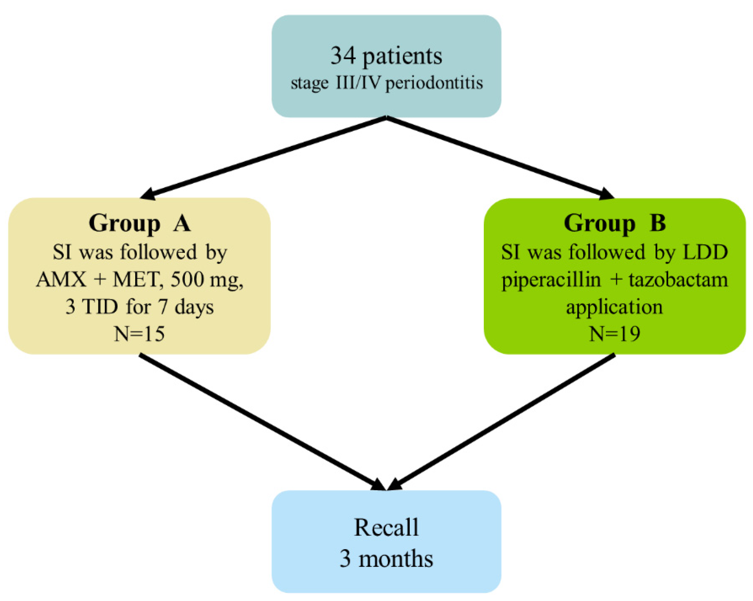Antibiotics 13 00430 g006