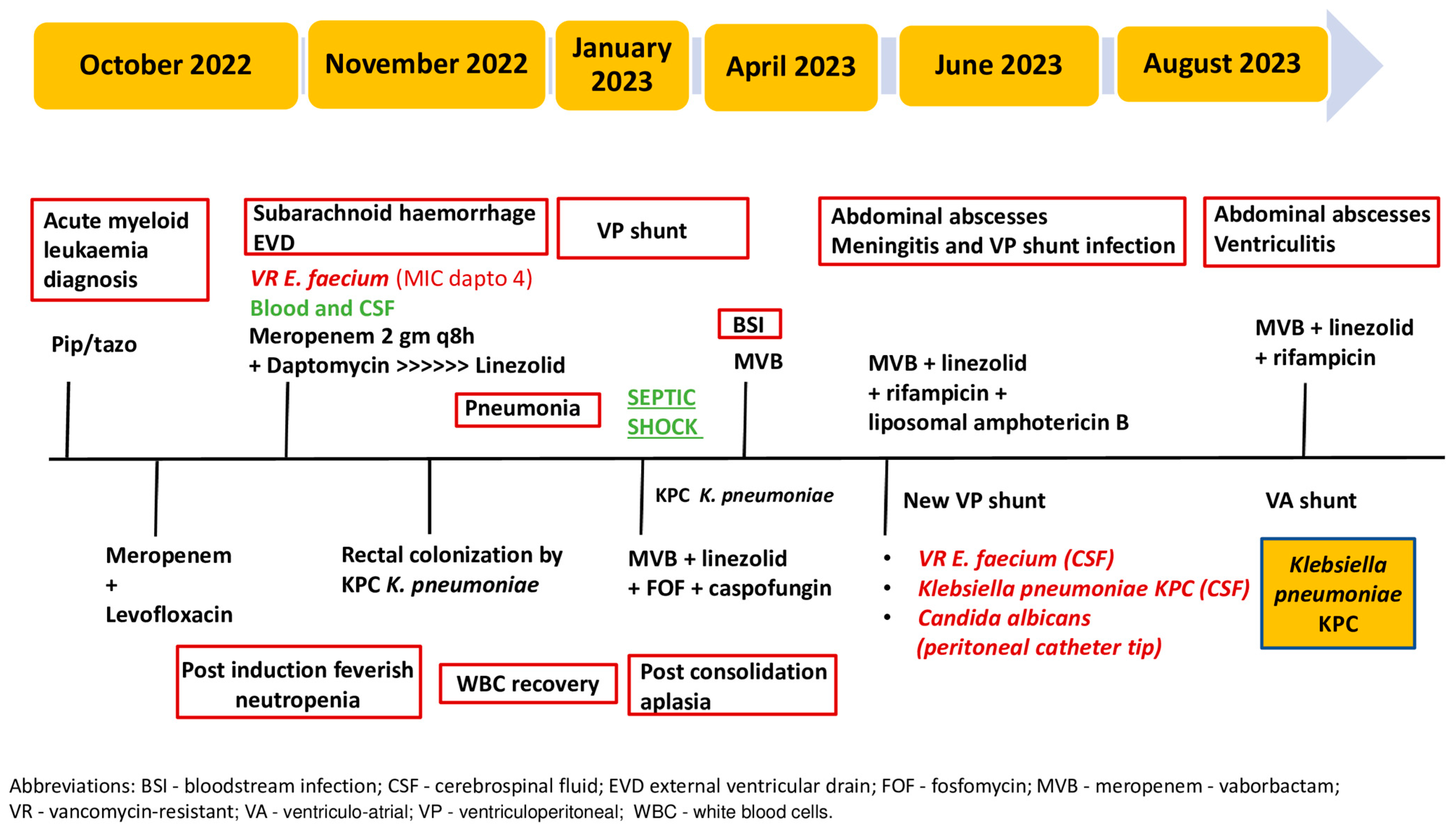 Antibiotics 13 00432 g002 Antibiotics 13 00432 g002