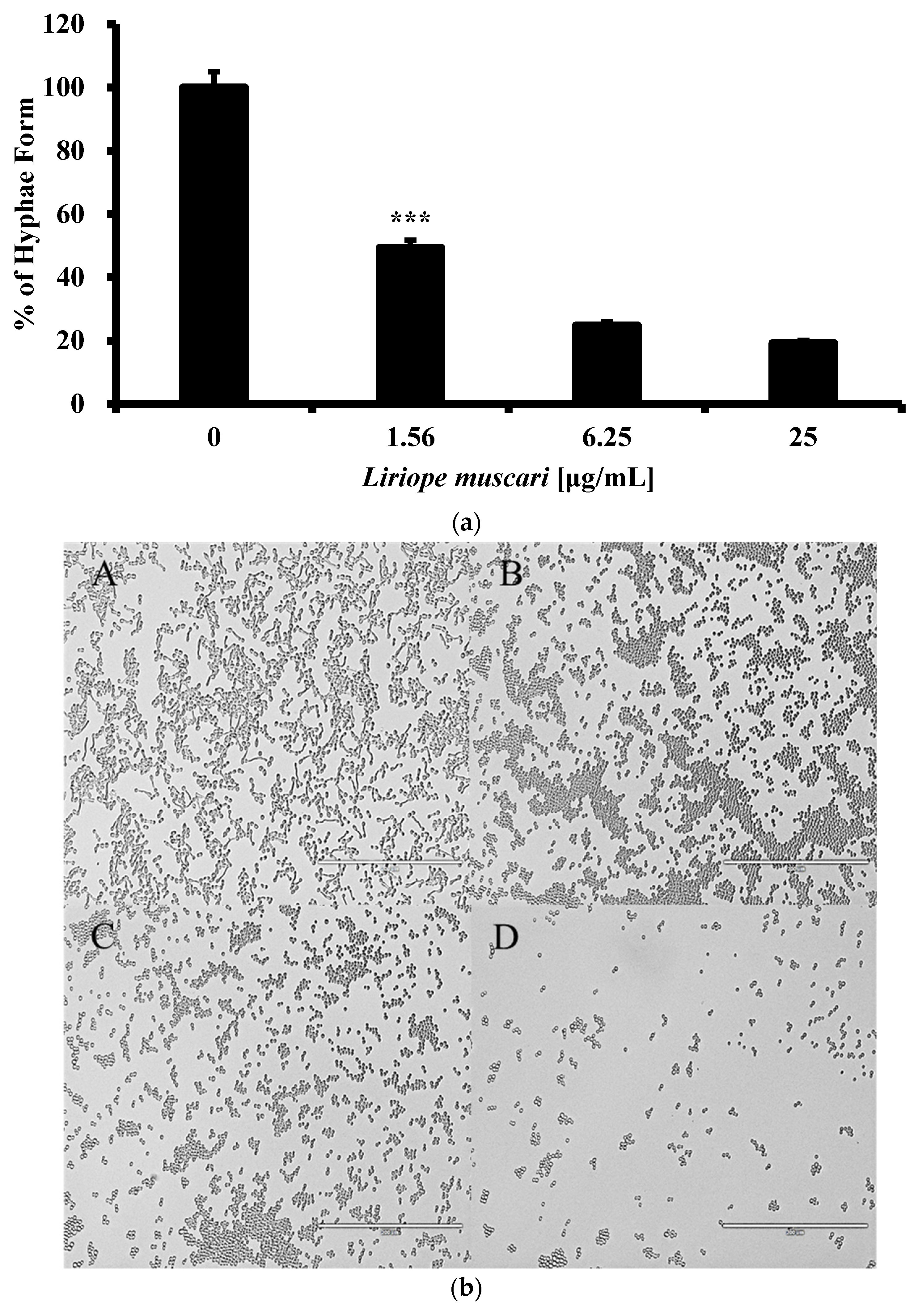 Antibiotics 13 00434 g003a