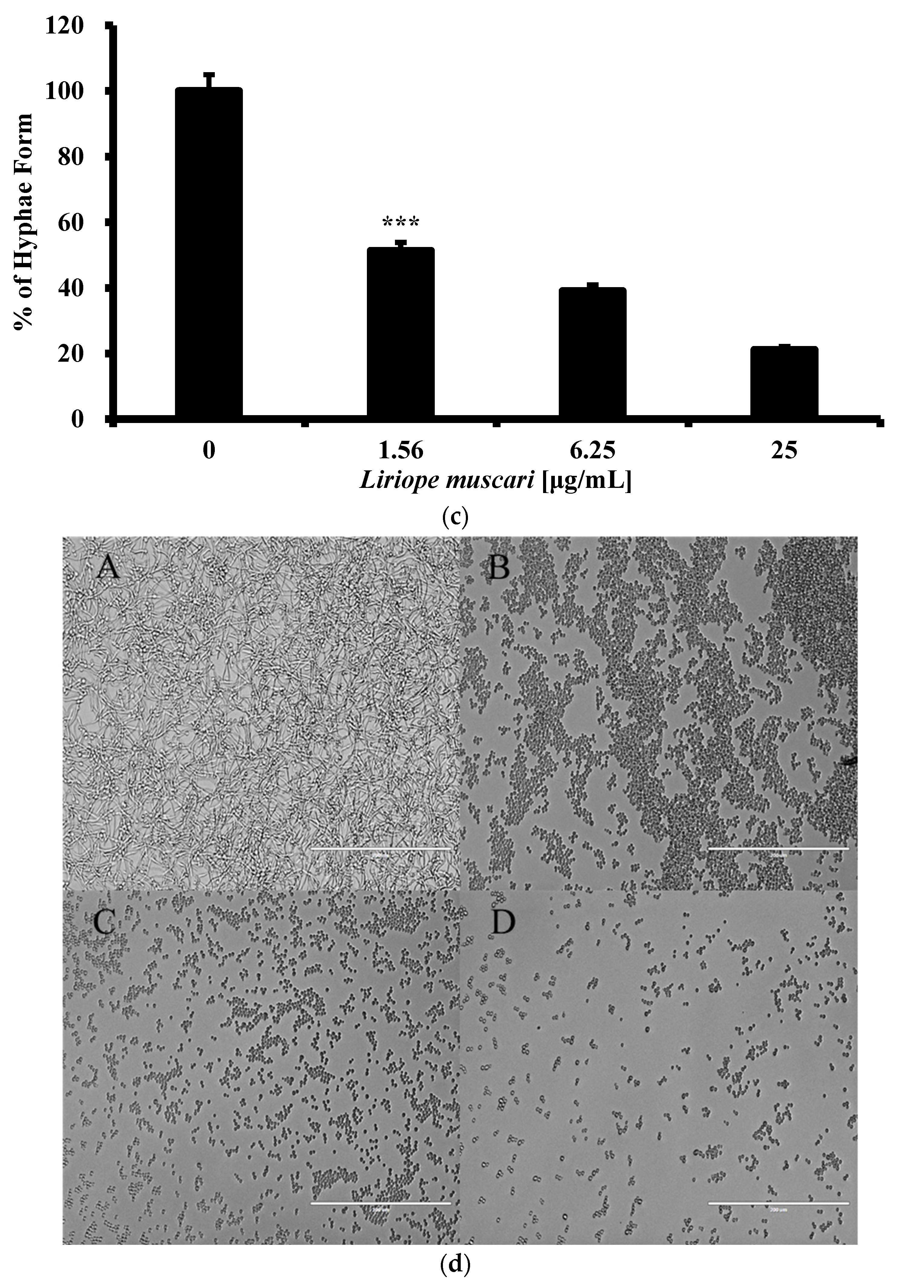 Antibiotics 13 00434 g003b