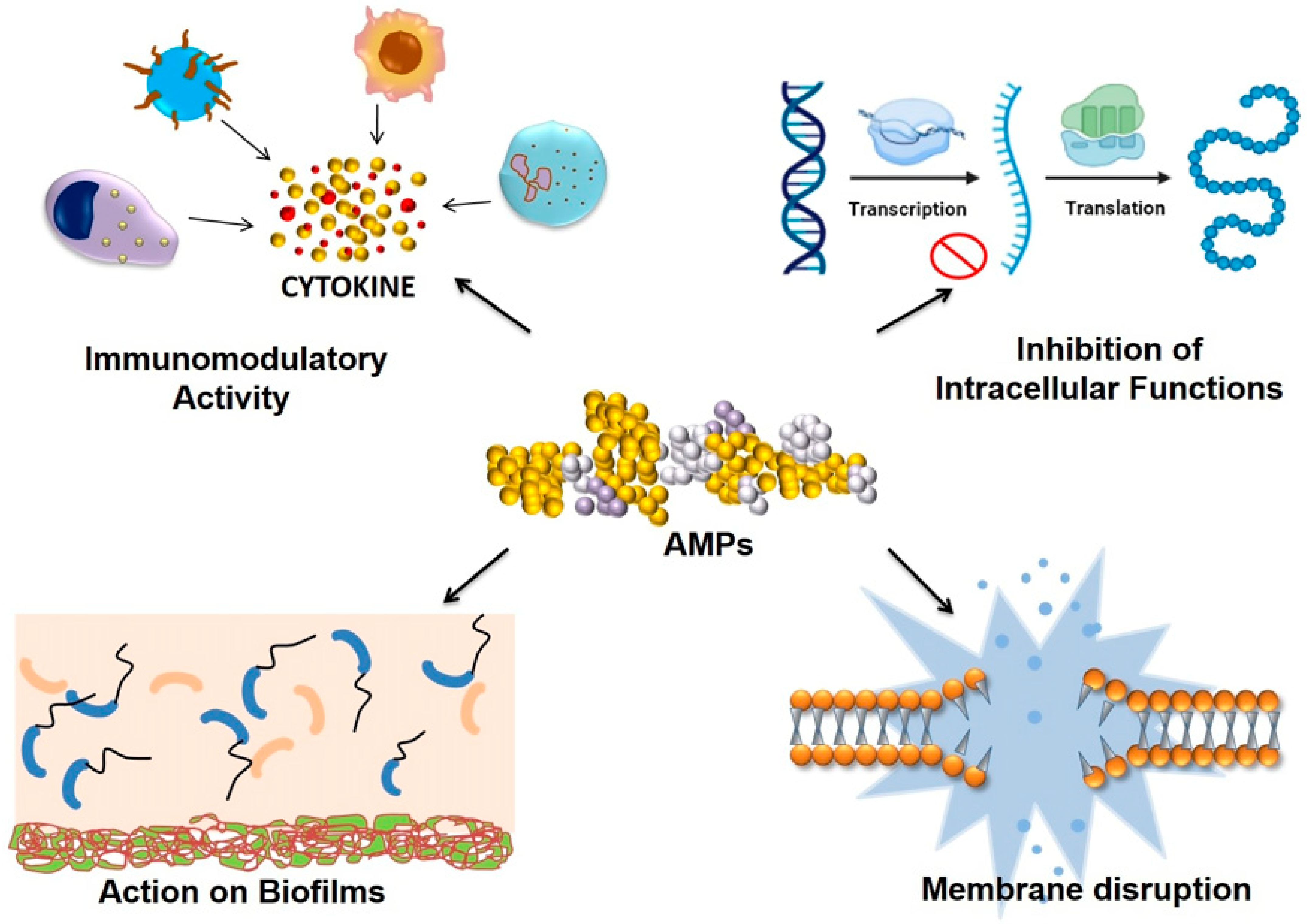 Antibiotics 13 00439 g002