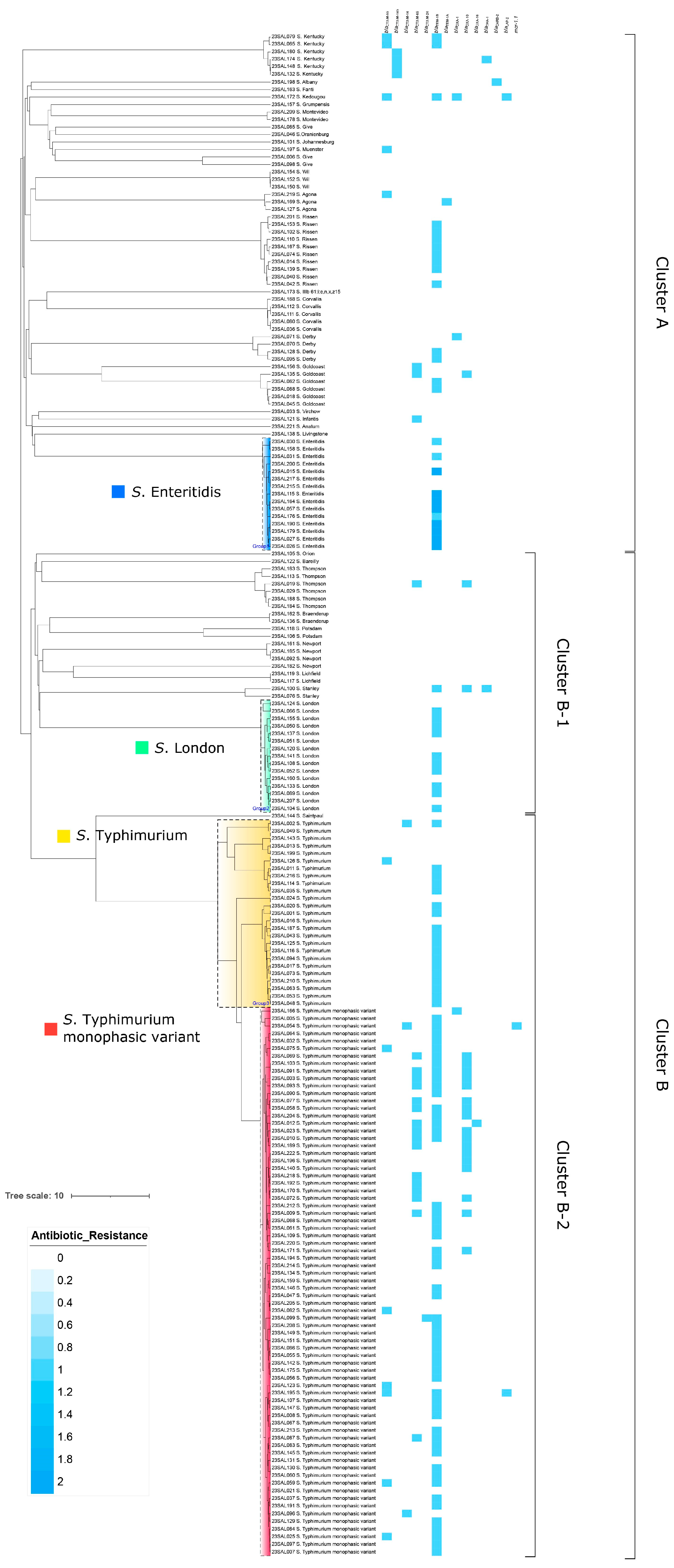 Antibiotics 13 00443 g003