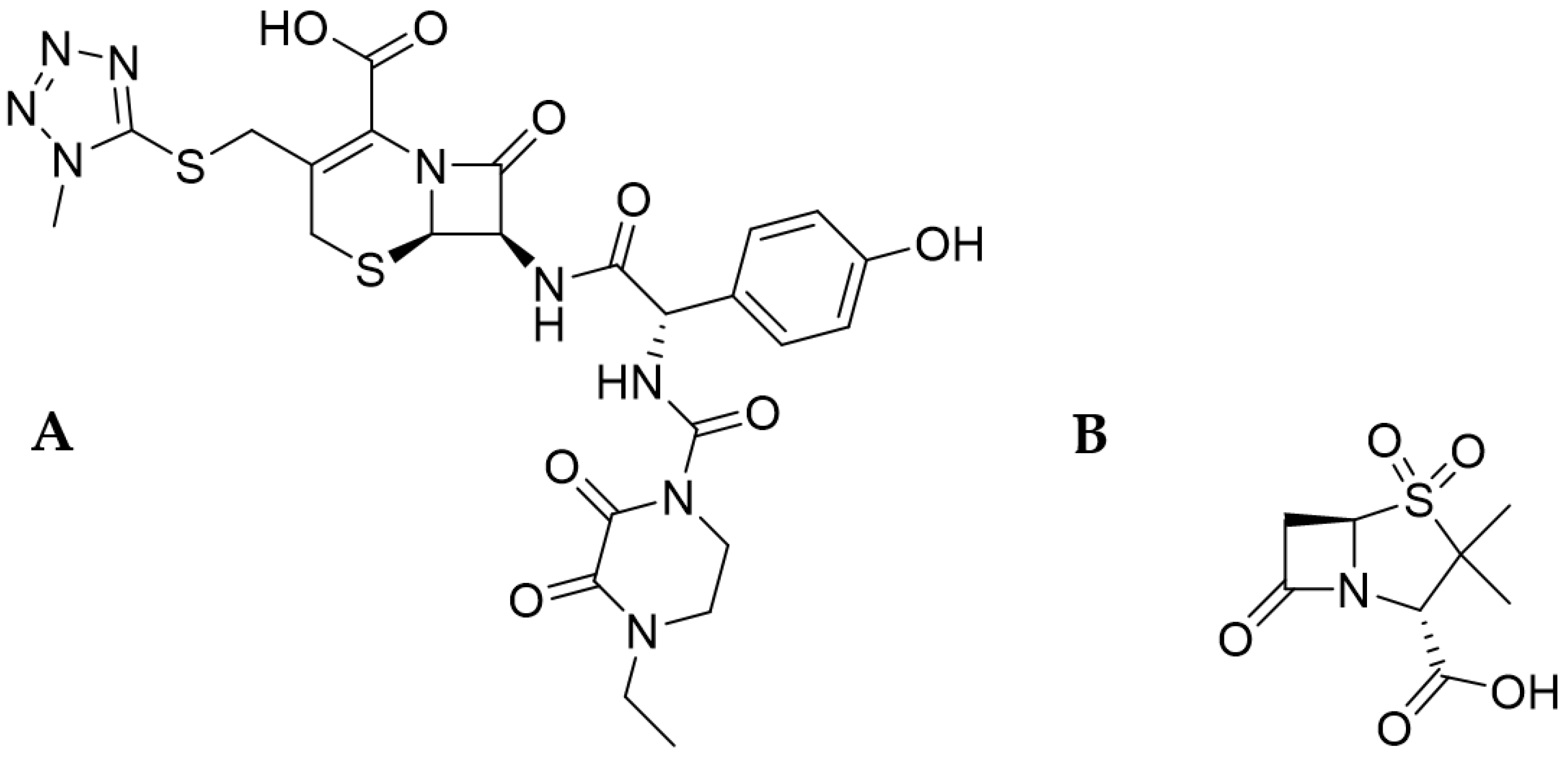 Antibiotics 13 00445 g001