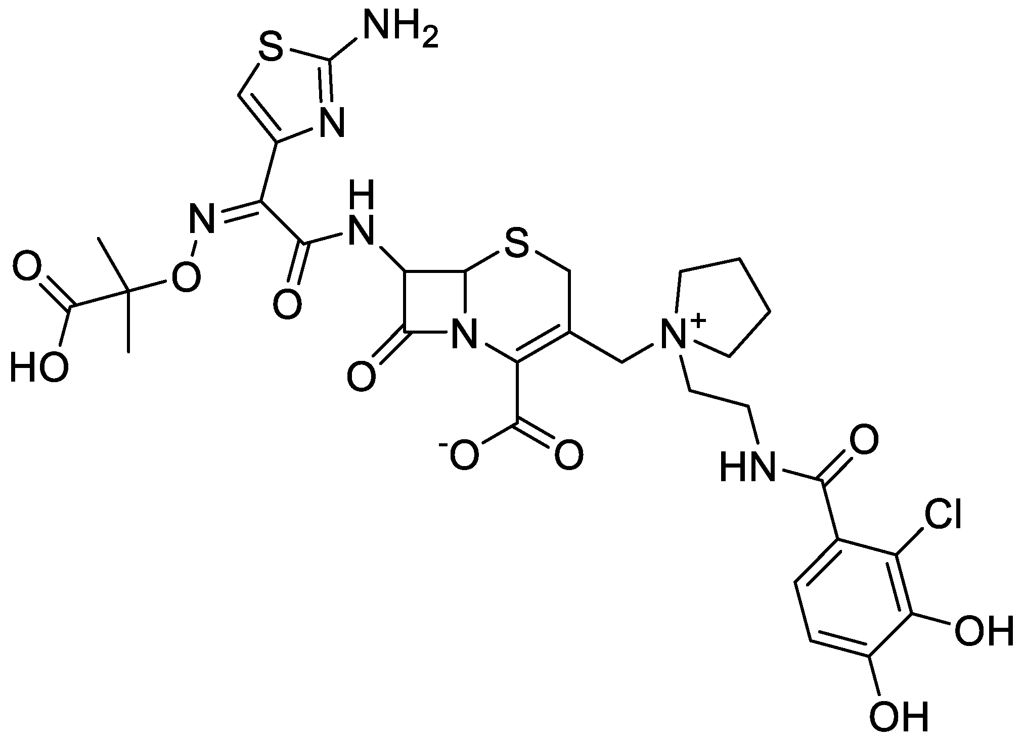 Antibiotics 13 00445 g004