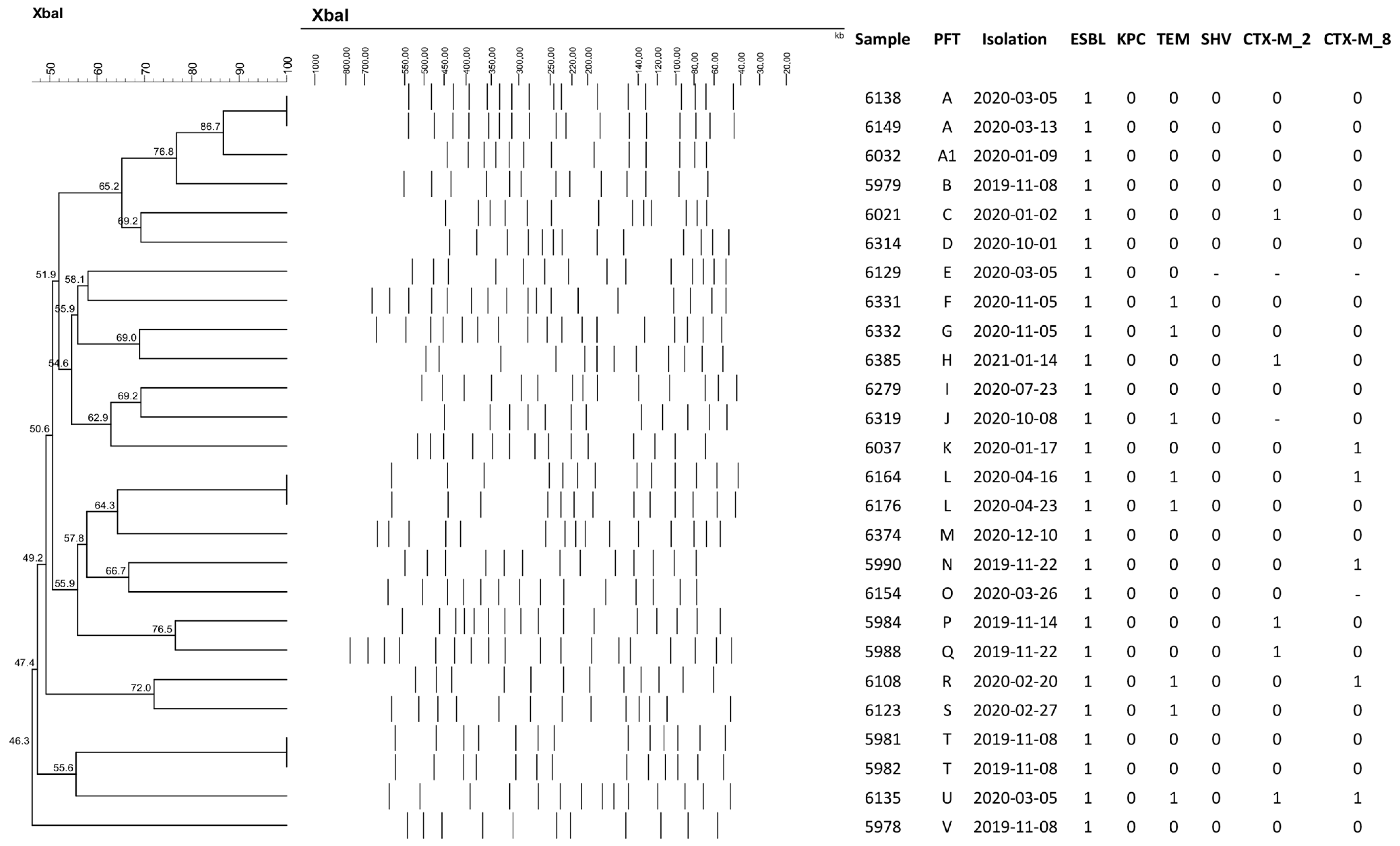 Antibiotics 13 00448 g001
