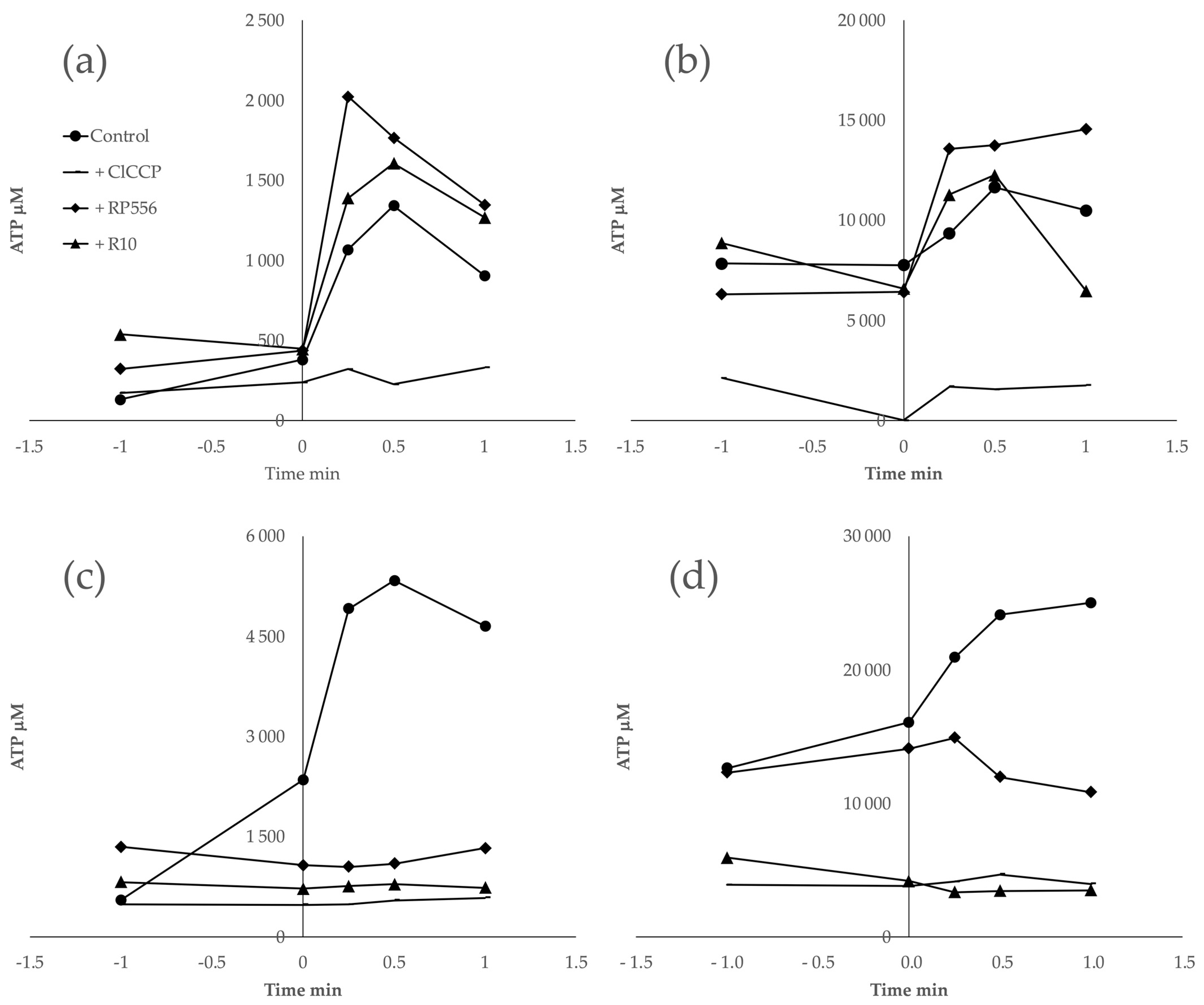 Antibiotics 13 00451 g004