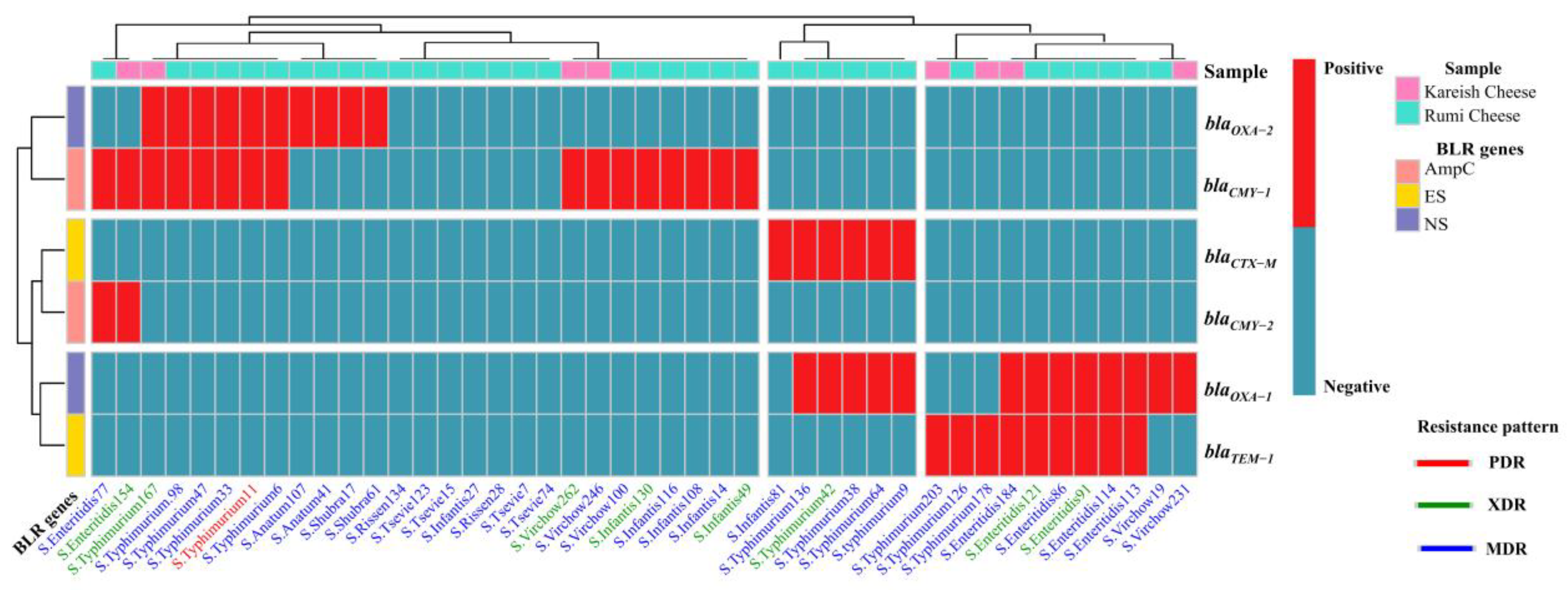 Antibiotics 13 00454 g005
